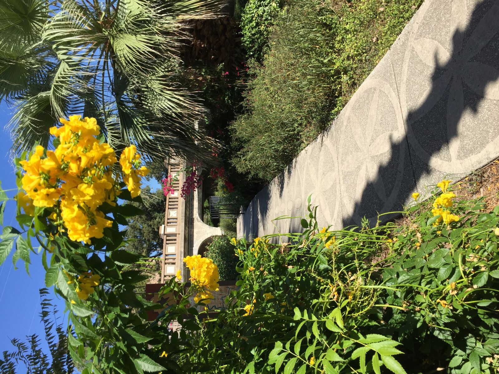 iPhone 6 Plus back camera 4.15mm f/2.2 sample photo