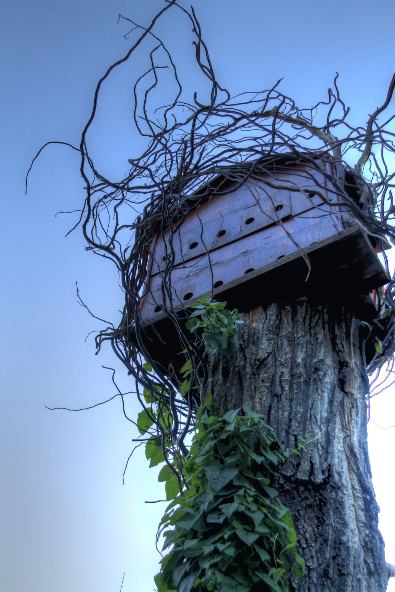 Canon EOS 7D sample photo. Birdhouse, tree house, nature photography