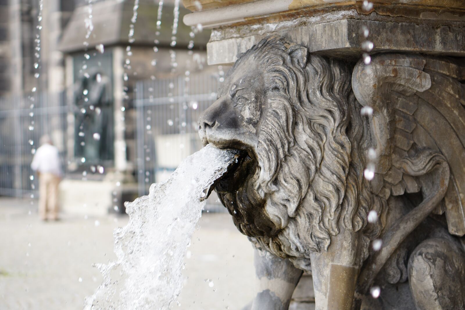 E 50mm F1.8 OSS sample photo. Lion, water, gargoyle photography