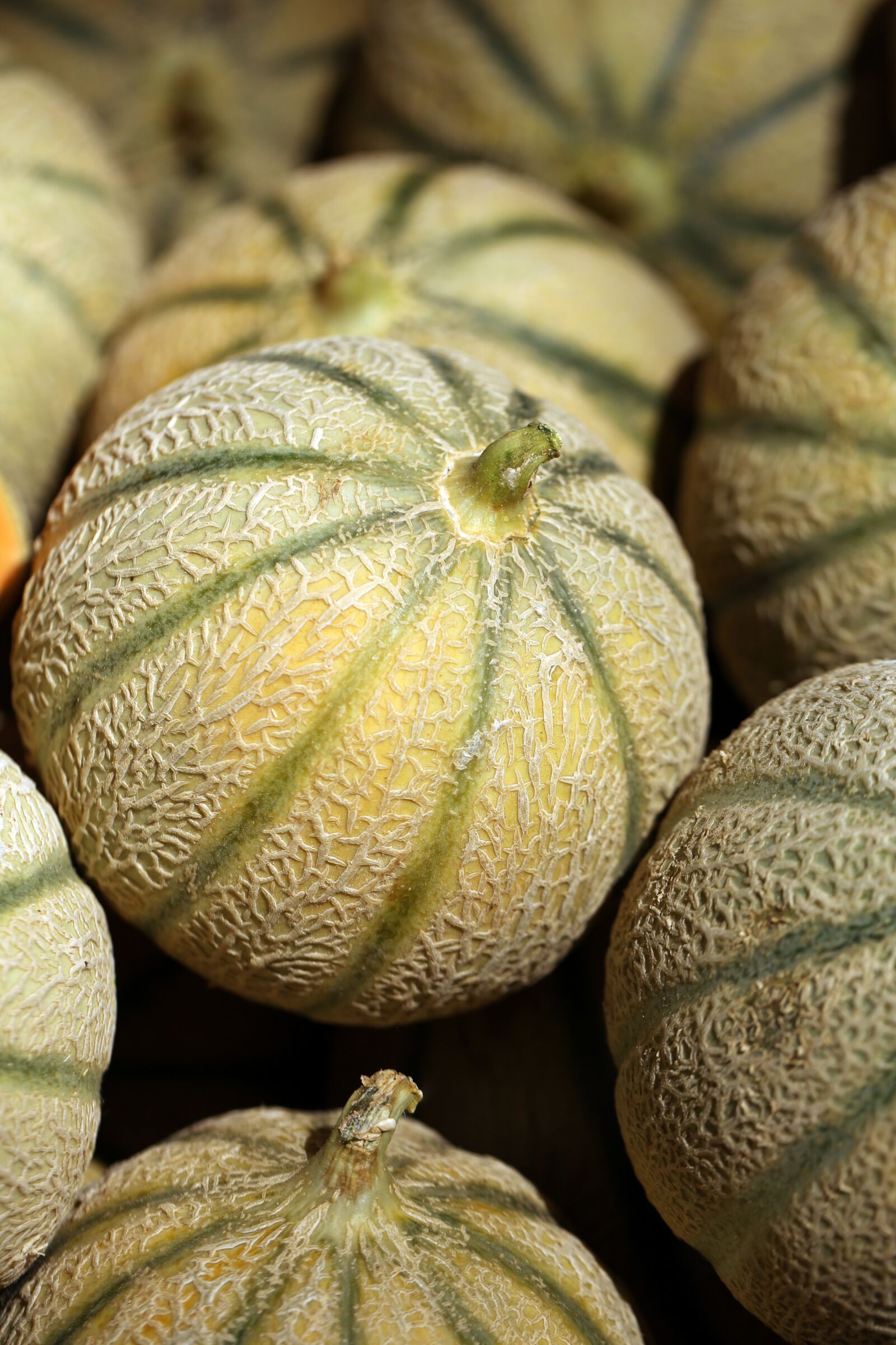Canon EF 100mm F2.8L Macro IS USM sample photo. Melon, fruit, food photography