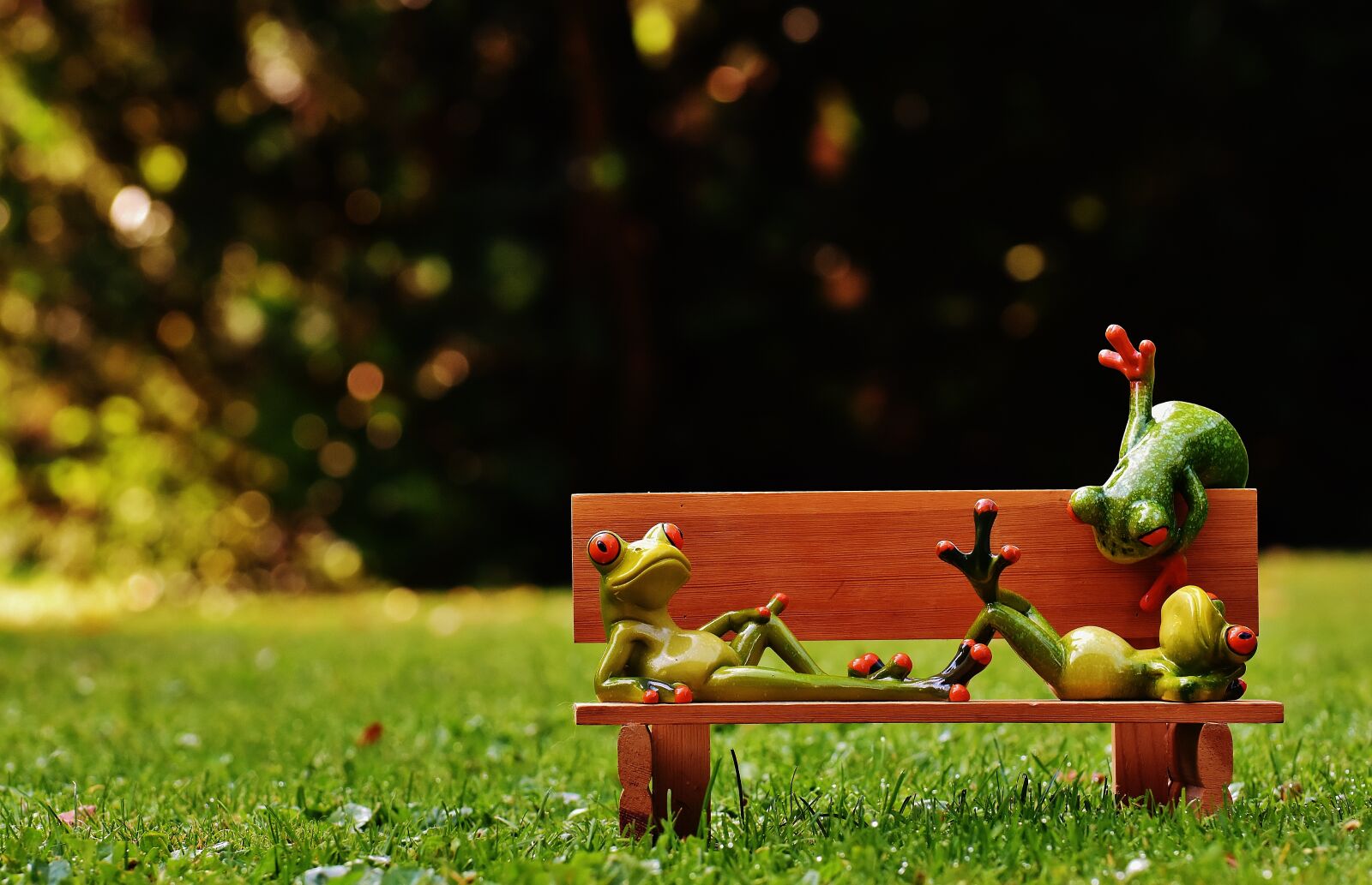 Nikon D7200 sample photo. Frogs, bank, bench photography