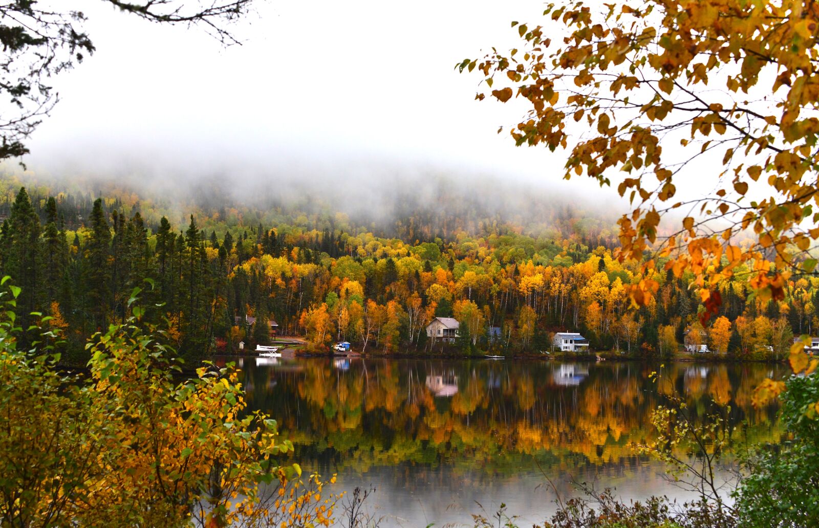 Nikon D610 sample photo. Landscape, fall, nature photography