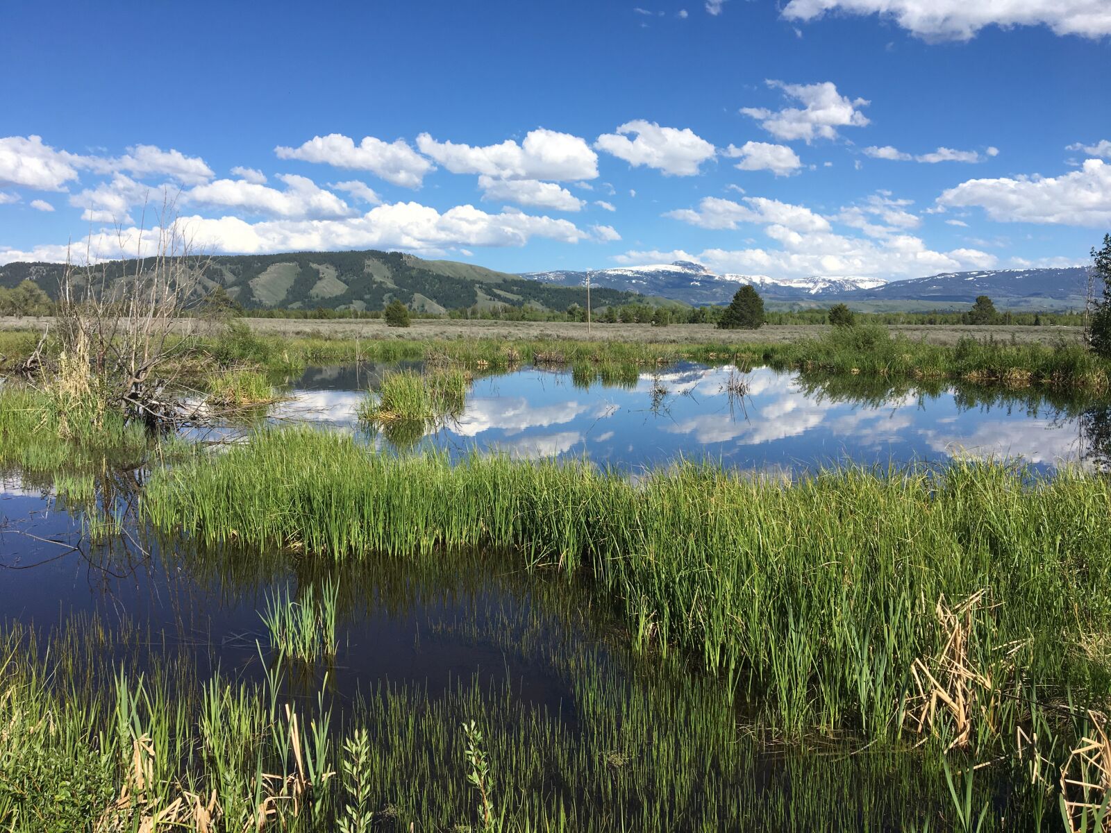Apple iPhone 6s sample photo. Nature, water, wyoming photography