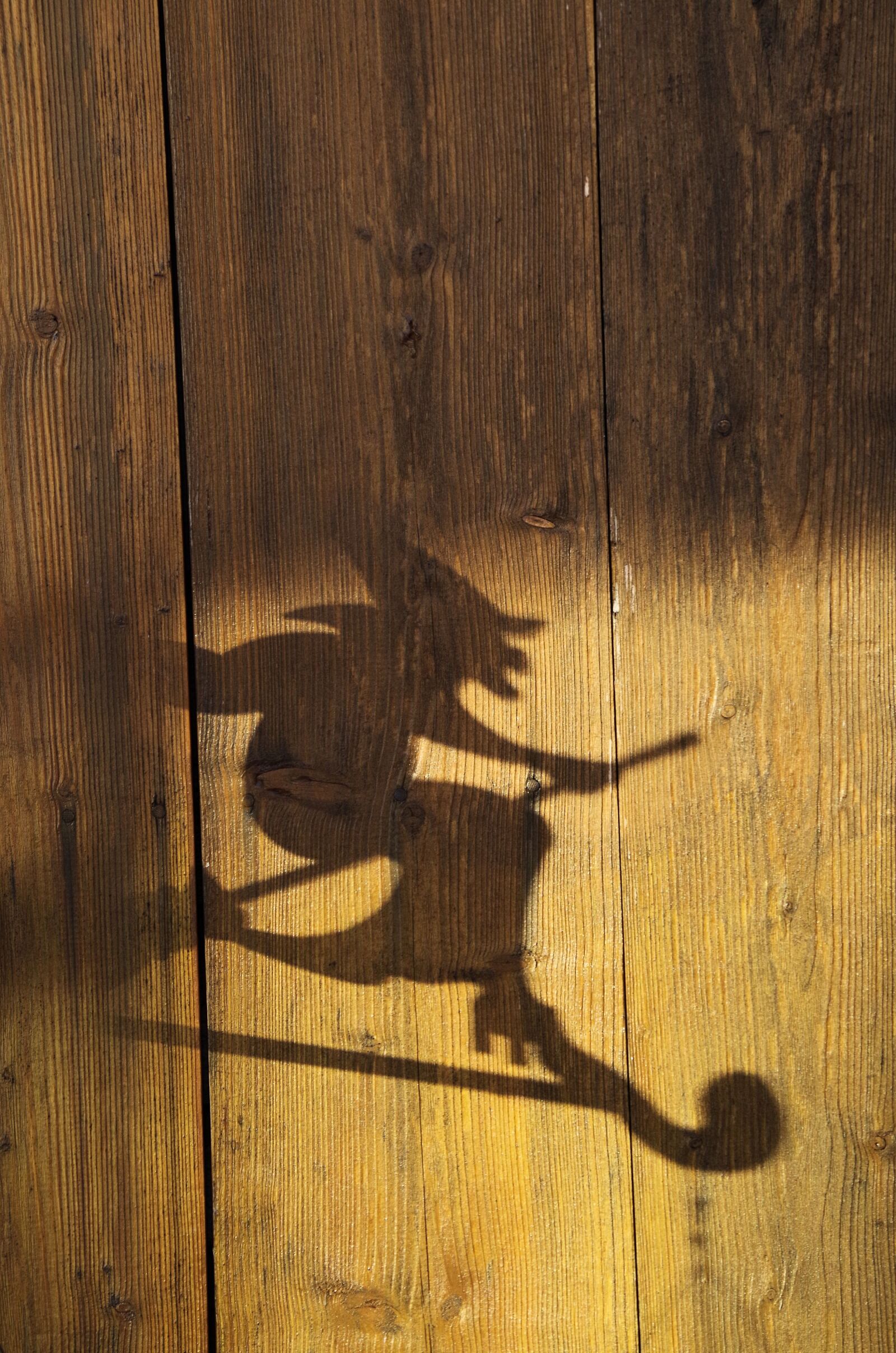 Pentax K-50 sample photo. Shadow, the witch, wood photography