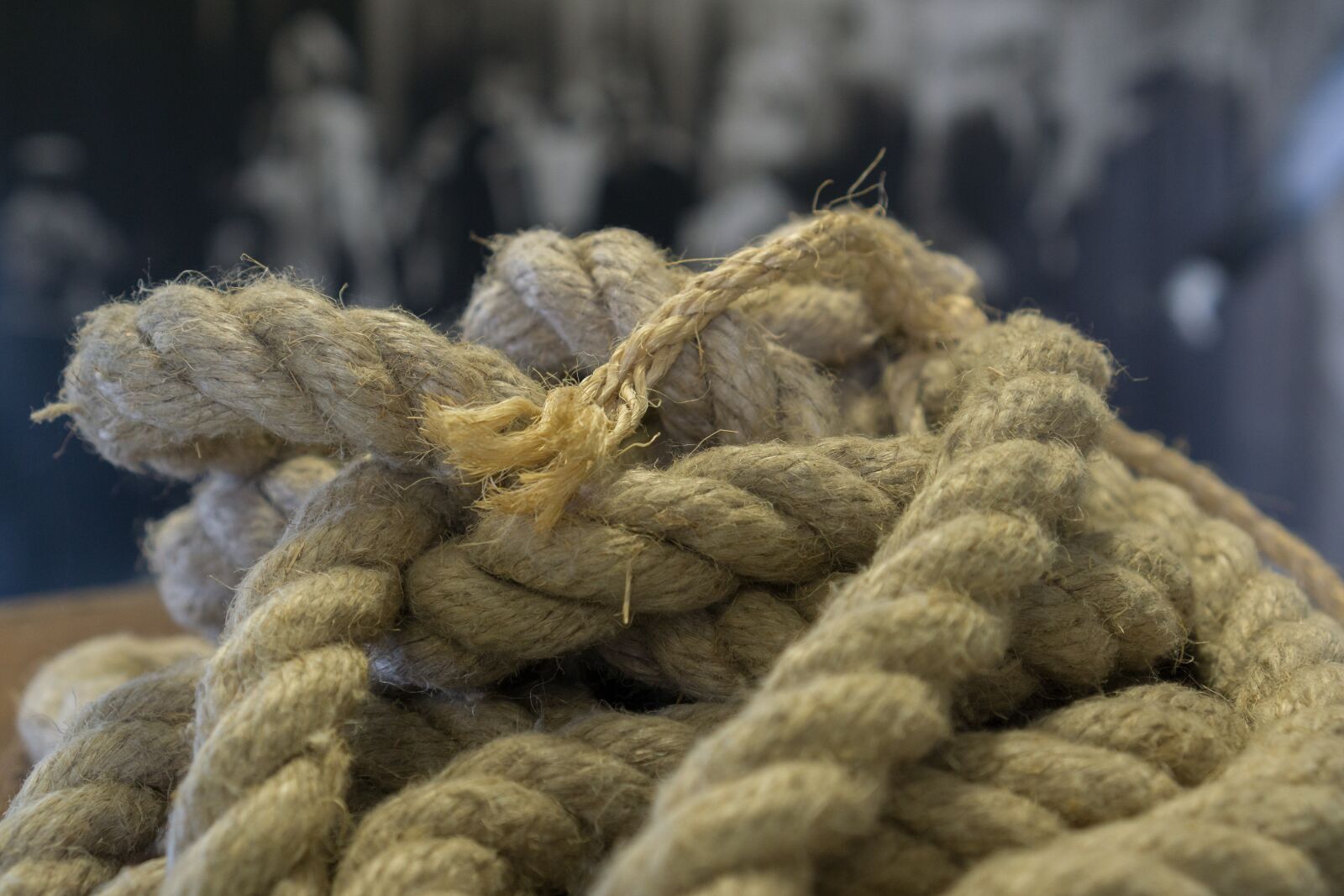 Sony a6000 + Sony E 35mm F1.8 OSS sample photo. Dew, knot, cord photography