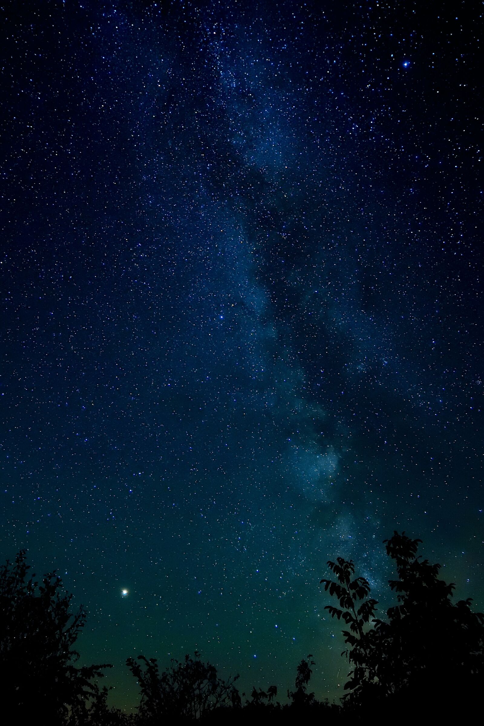 Nikon D750 sample photo. Sky, stars, night photography