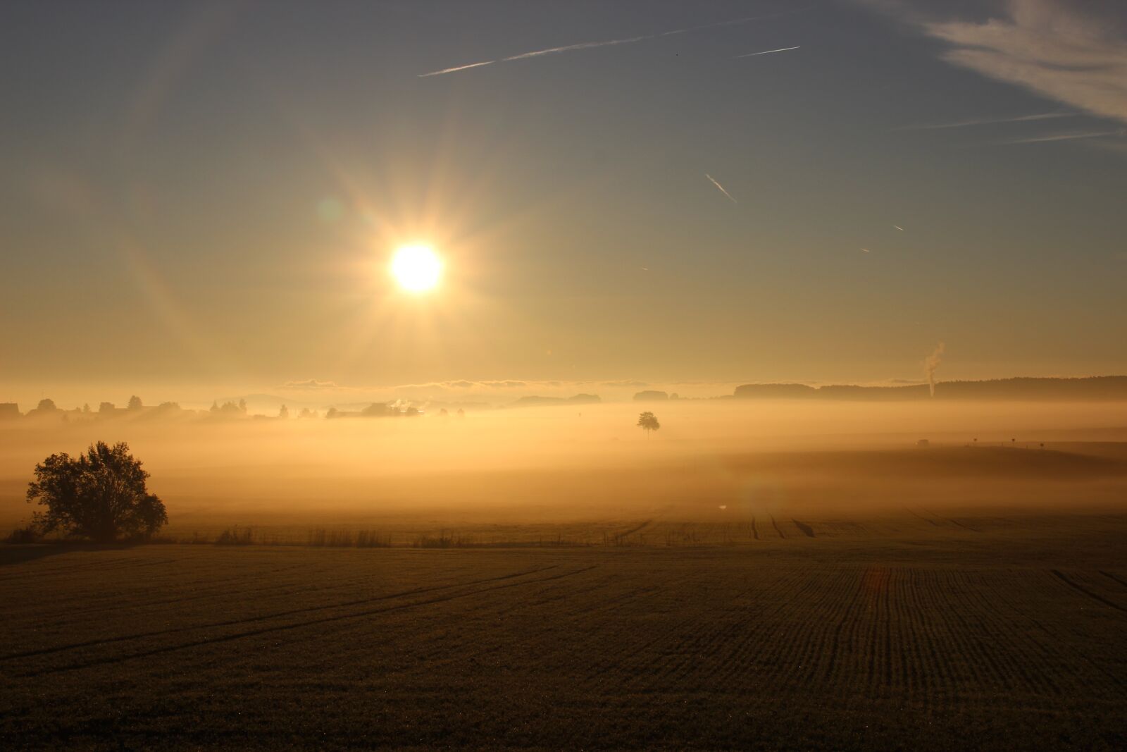 Canon EOS 600D (Rebel EOS T3i / EOS Kiss X5) sample photo. Autumn, fog, sunrise photography