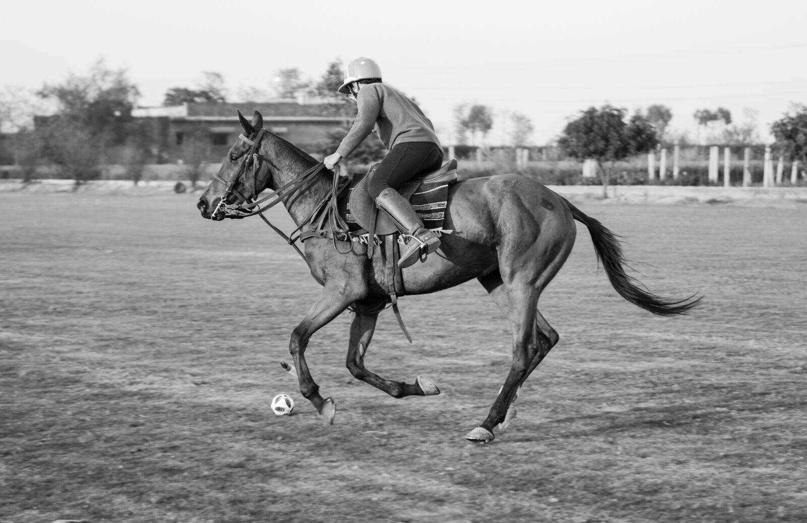 Nikon D7100 sample photo. Polo, playing, sport photography