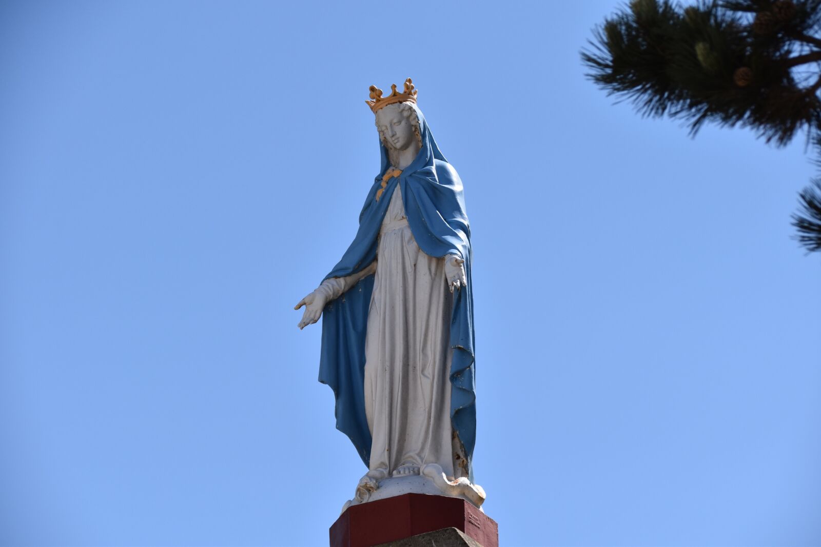 Nikon D5600 sample photo. Our lady of the photography