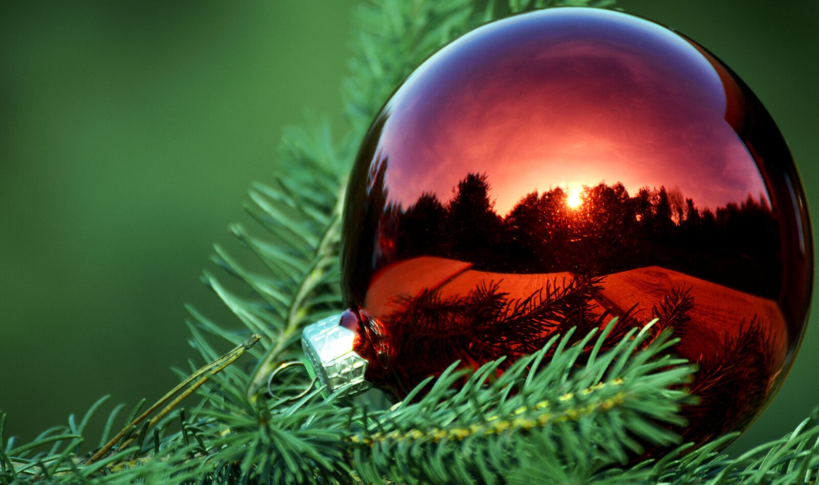 Nikon D3200 sample photo. Holidays, bauble, the background photography
