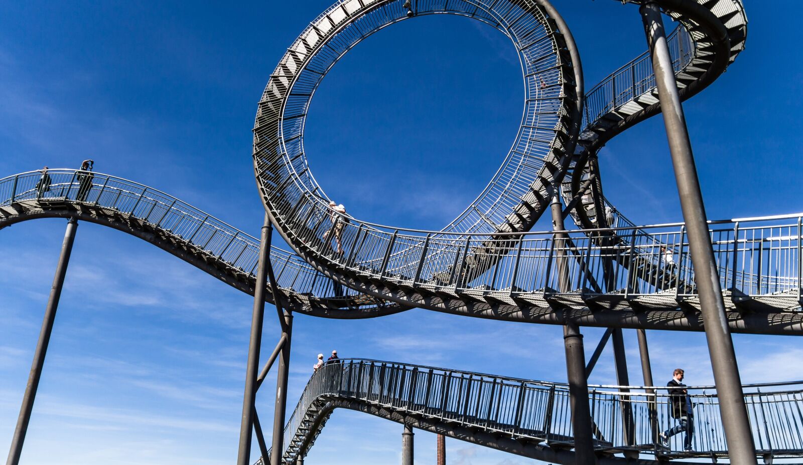 Canon EOS 700D (EOS Rebel T5i / EOS Kiss X7i) sample photo. Tiger turtle, duisburg, ruhr photography