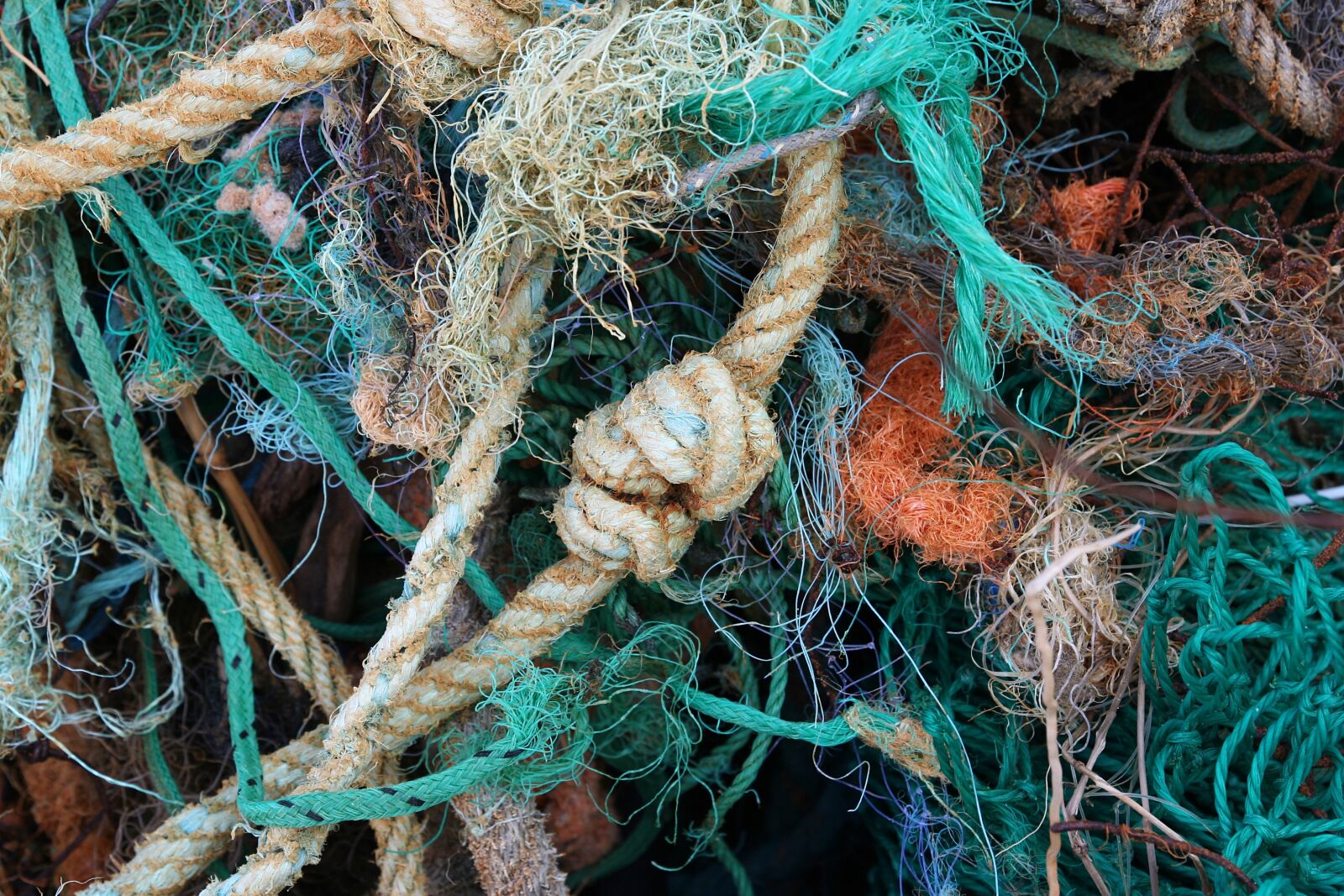 Canon EOS 350D (EOS Digital Rebel XT / EOS Kiss Digital N) sample photo. Flotsam, environment, web photography