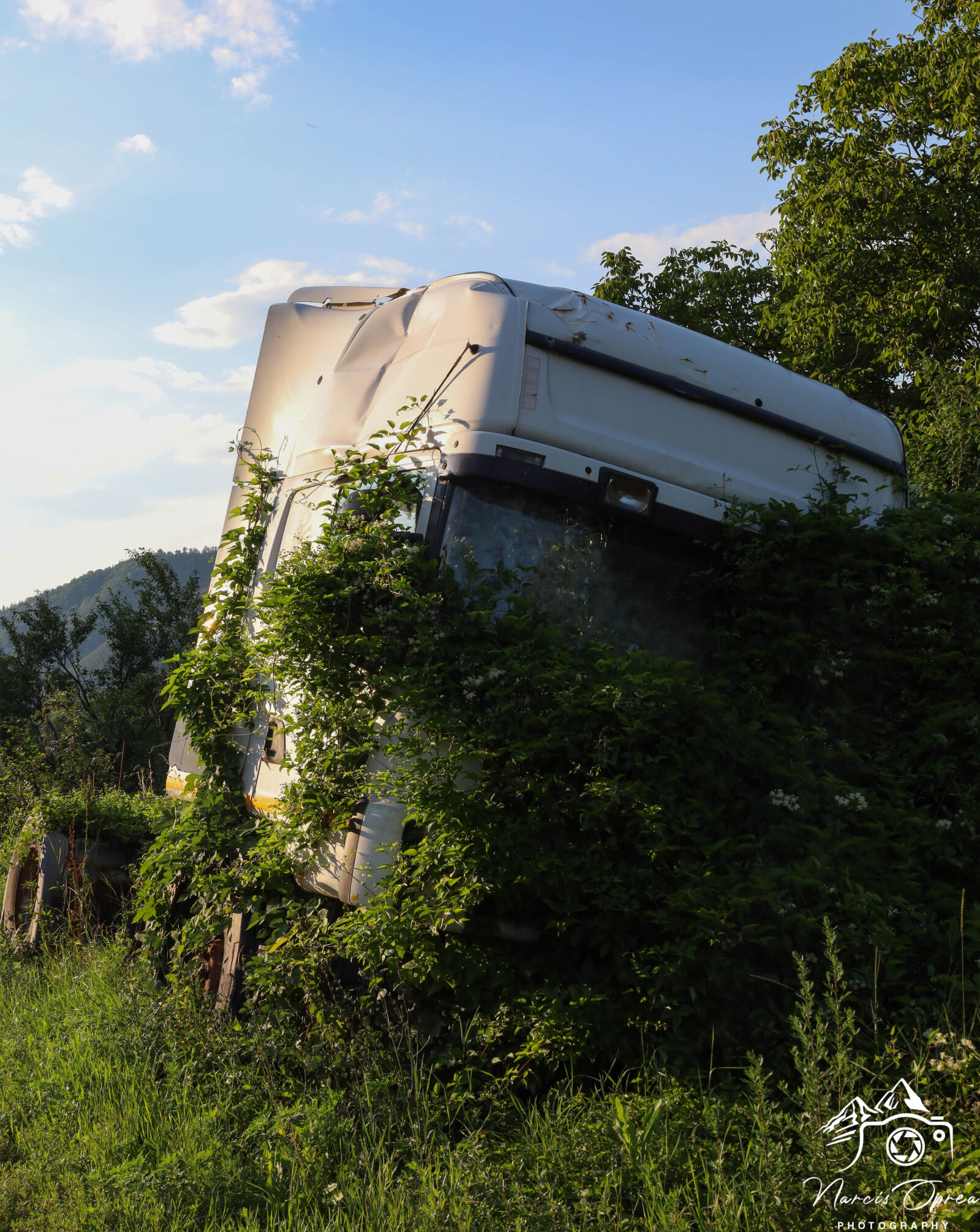Canon EOS RP sample photo