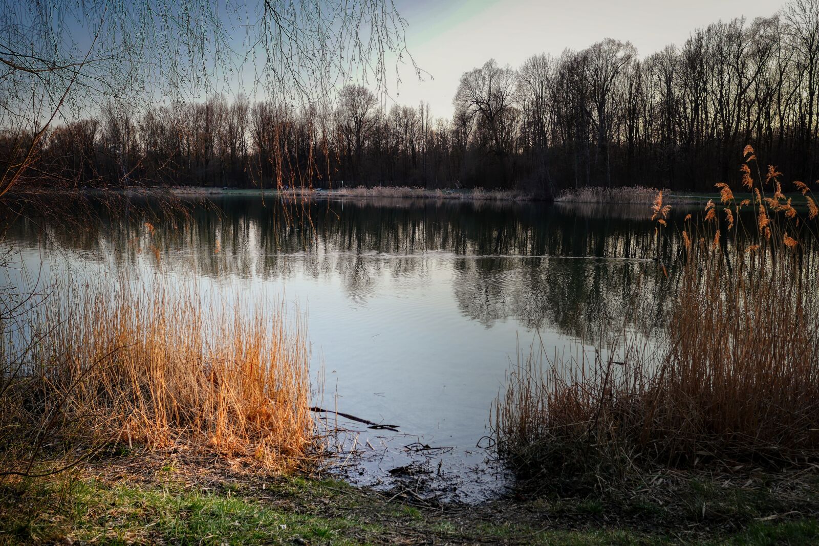 Panasonic Lumix DMC-GX8 sample photo. Lake, mirroring, water photography