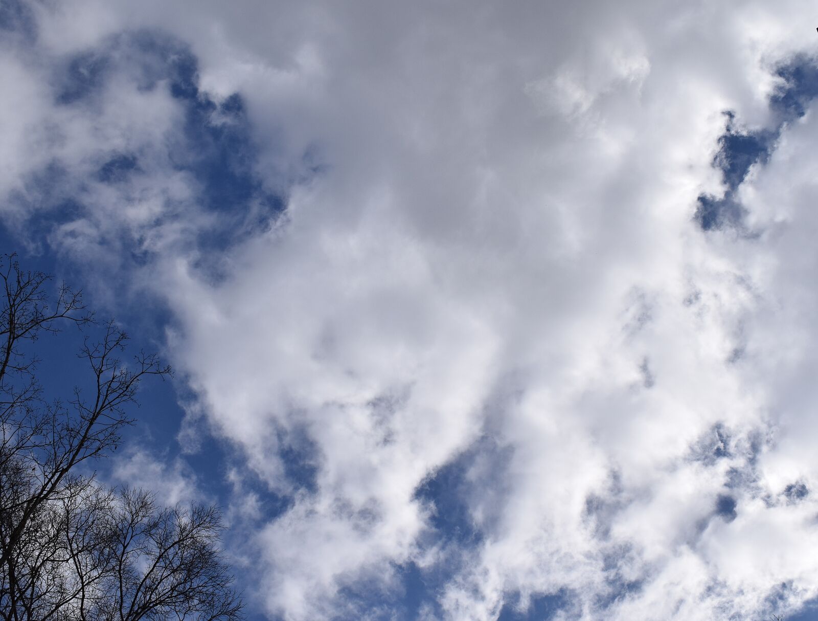 Nikon D3300 sample photo. Wispy clouds, blue sky photography
