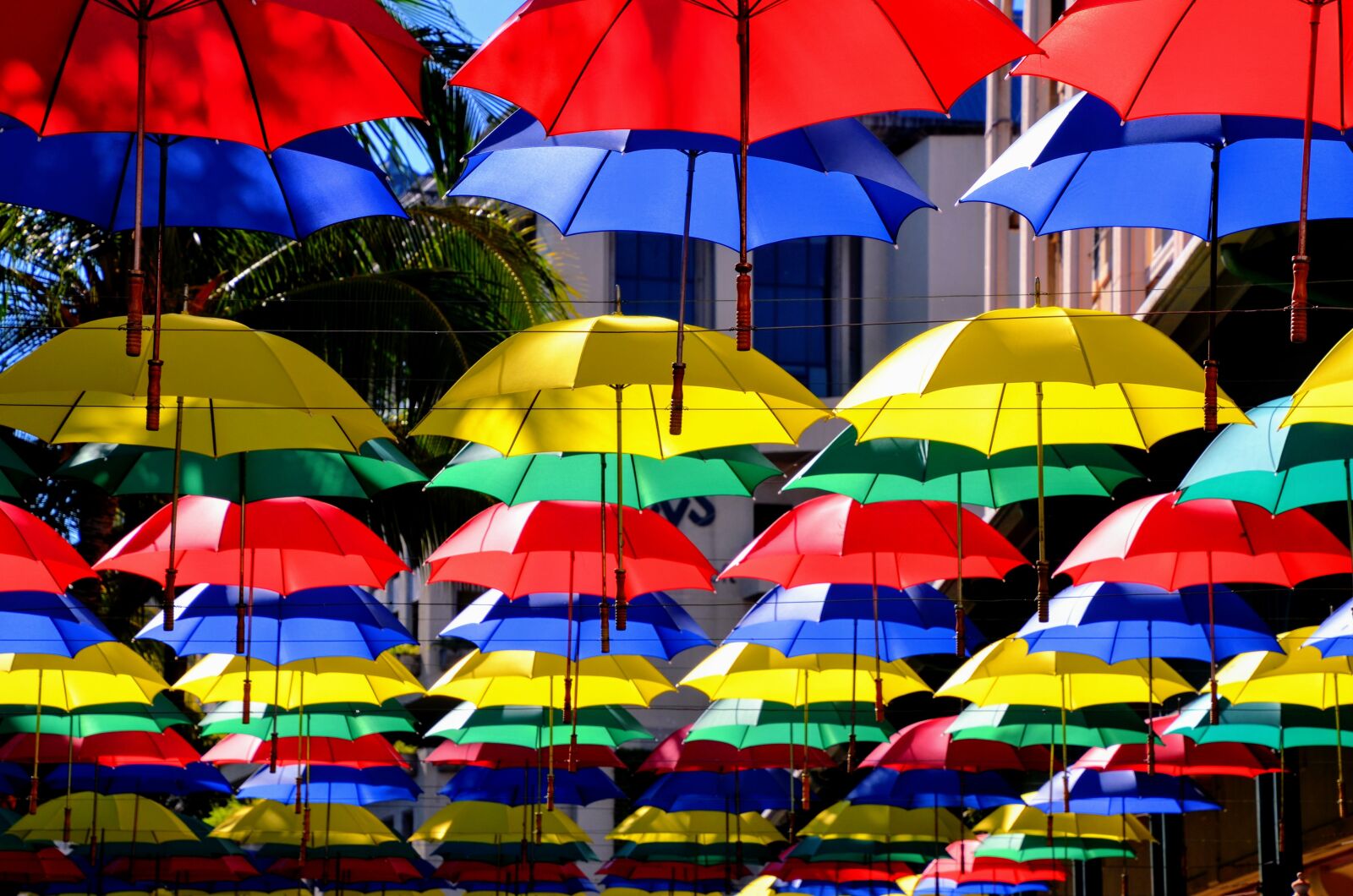 Nikon D7000 sample photo. Mauritius, happiness, parasol photography