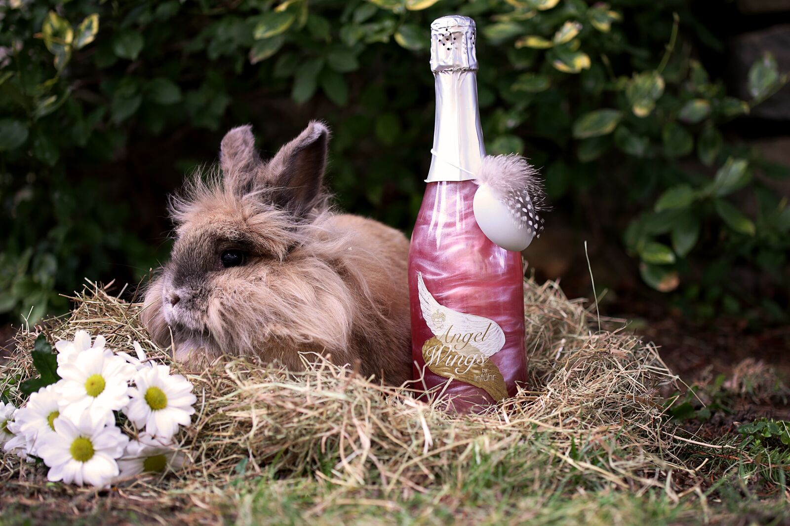 Canon EOS 6D sample photo. Easter pictures, easter, easter photography
