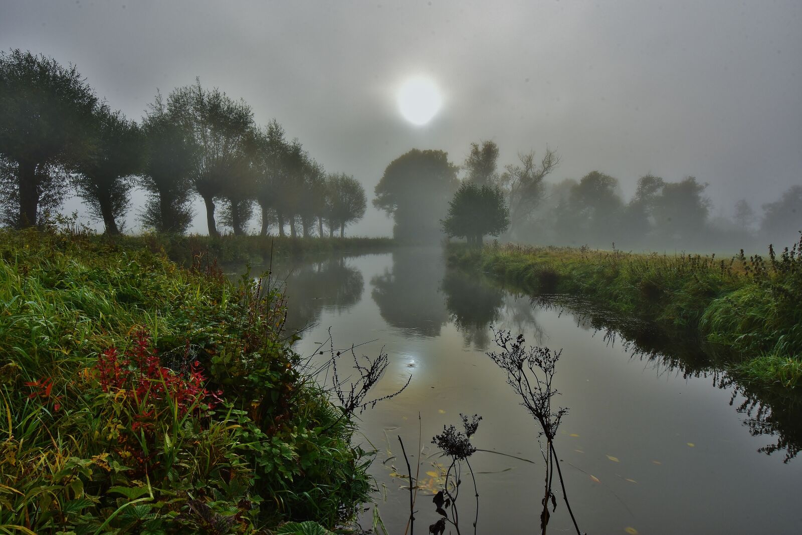 Nikon D7200 sample photo. Water, fog, landscape photography