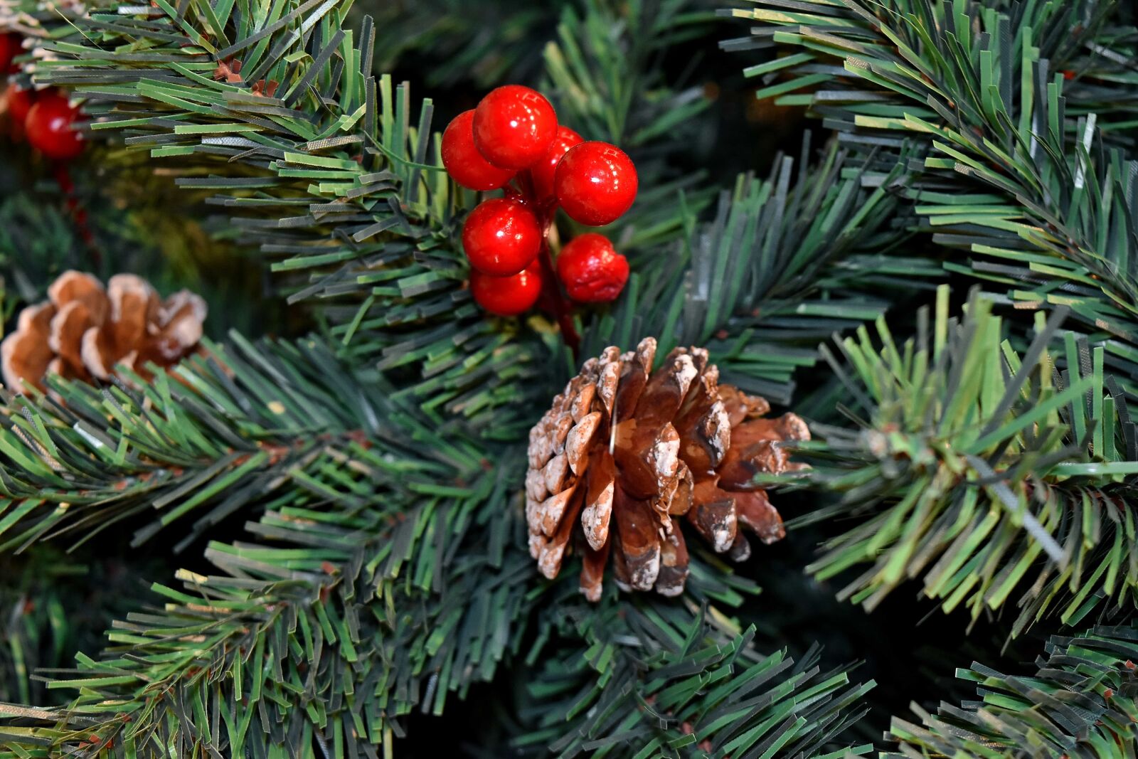Nikon D5500 sample photo. Christmas, christmas tree, conifers photography