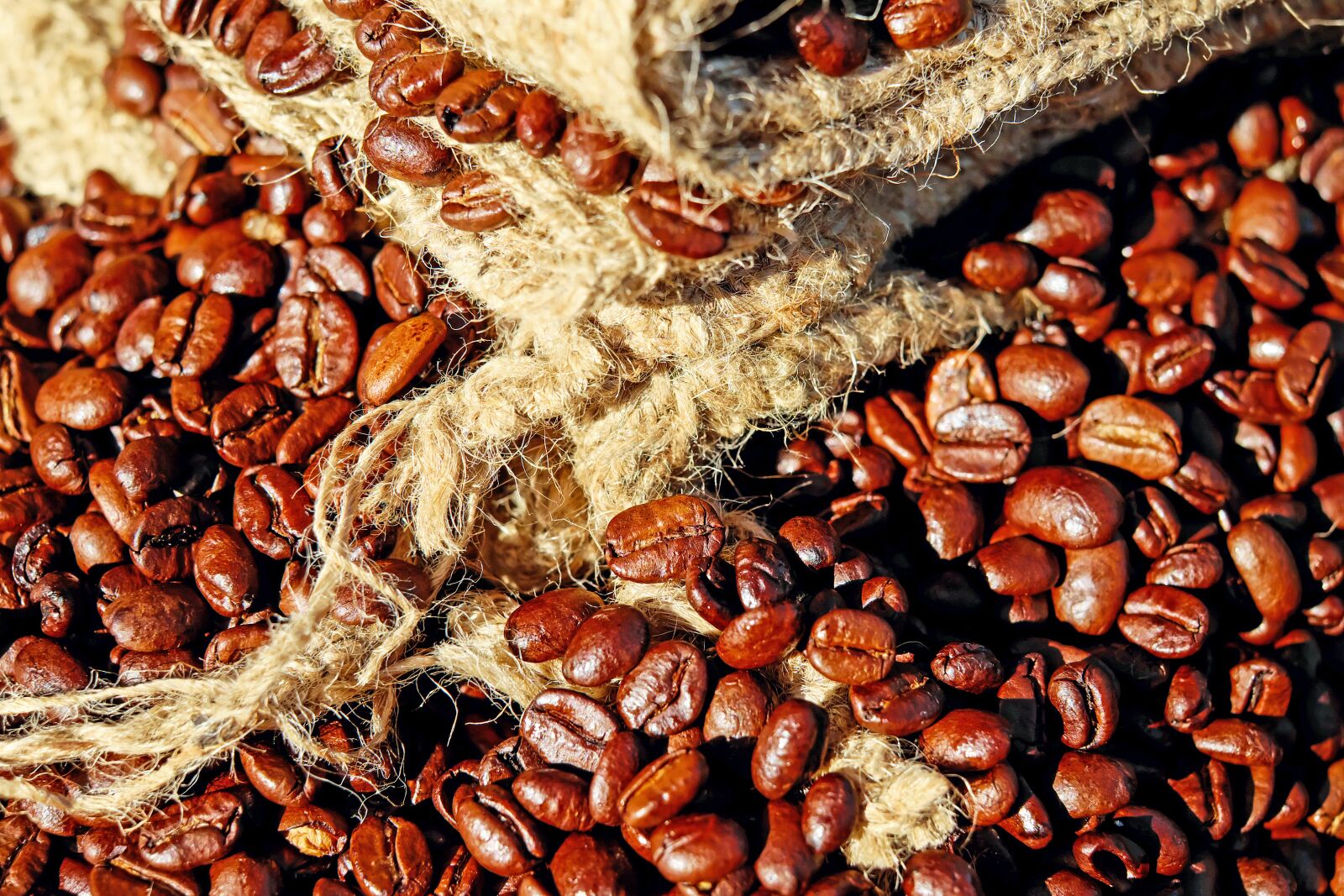 Fujifilm X-T10 + Fujifilm XF 35mm F1.4 R sample photo. Coffee, coffee beans, caffeine photography