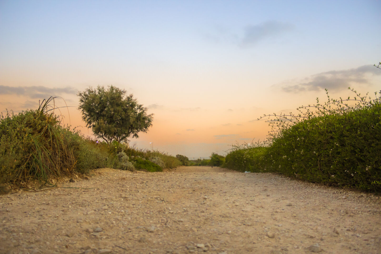 Canon EOS 1200D (EOS Rebel T5 / EOS Kiss X70 / EOS Hi) sample photo. Evening, sky, foliage, path photography