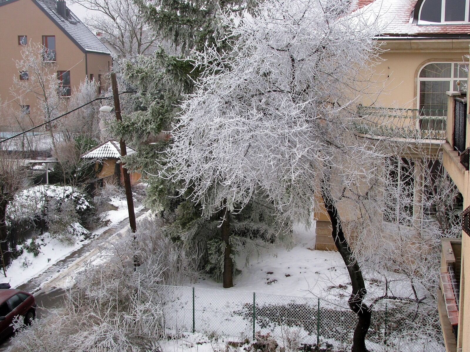 Canon PowerShot SX110 IS sample photo. Royal street, winter, trees photography