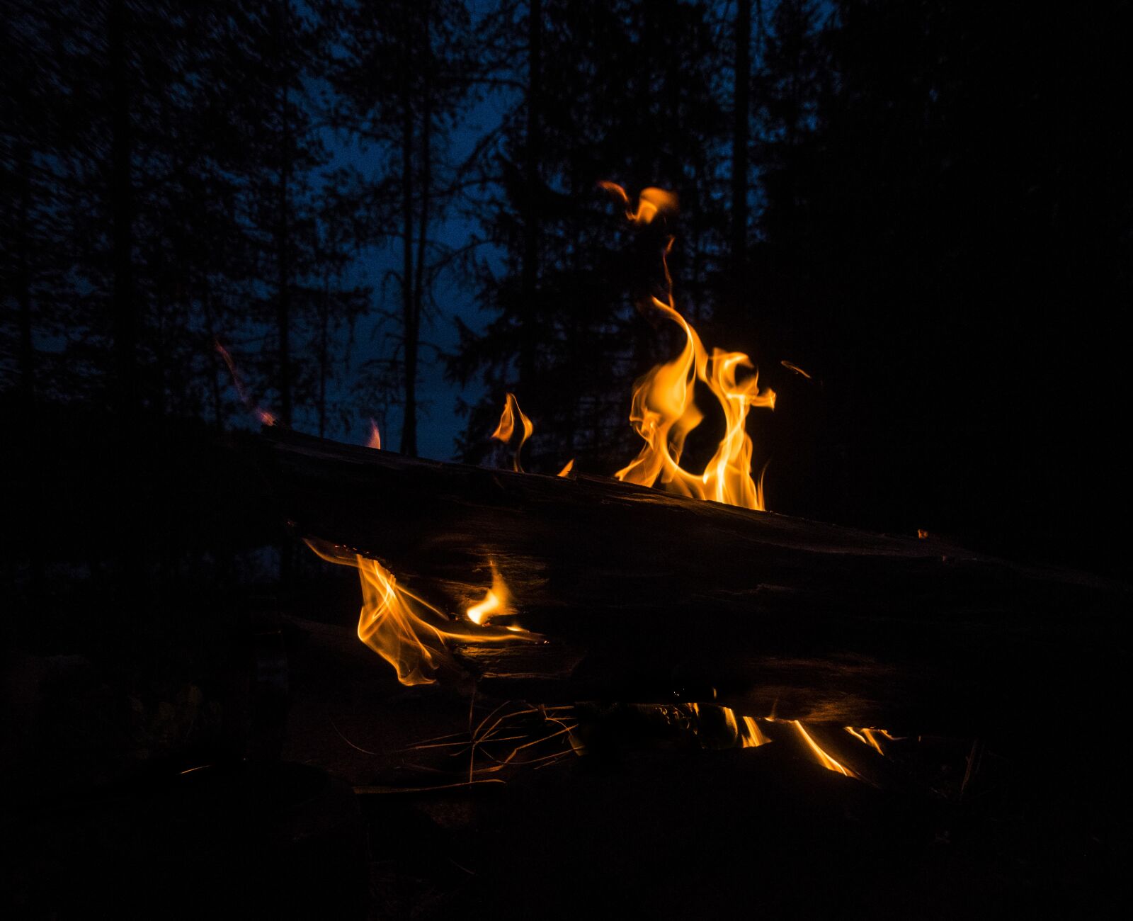 Nikon D750 sample photo. Campfire, fire, camp photography