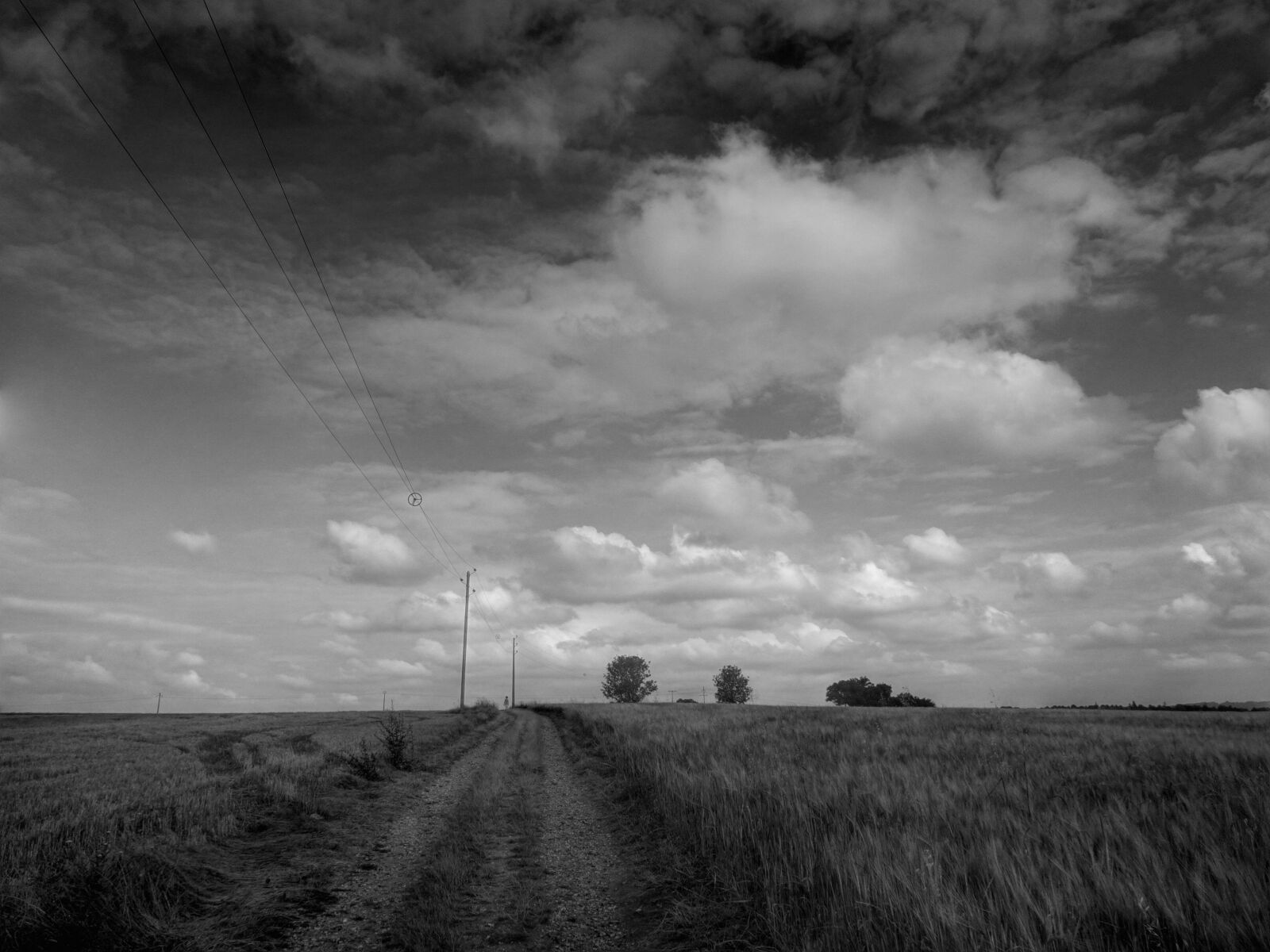 Sony Cyber-shot DSC-HX90V sample photo. Summer landscape, black and photography