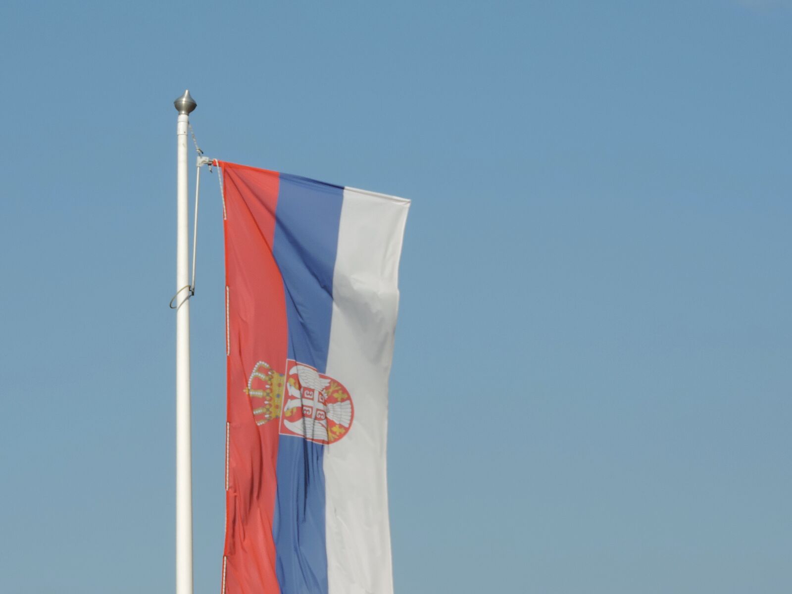 Nikon Coolpix P520 sample photo. Canvas, emblem, patriotism, serbia photography
