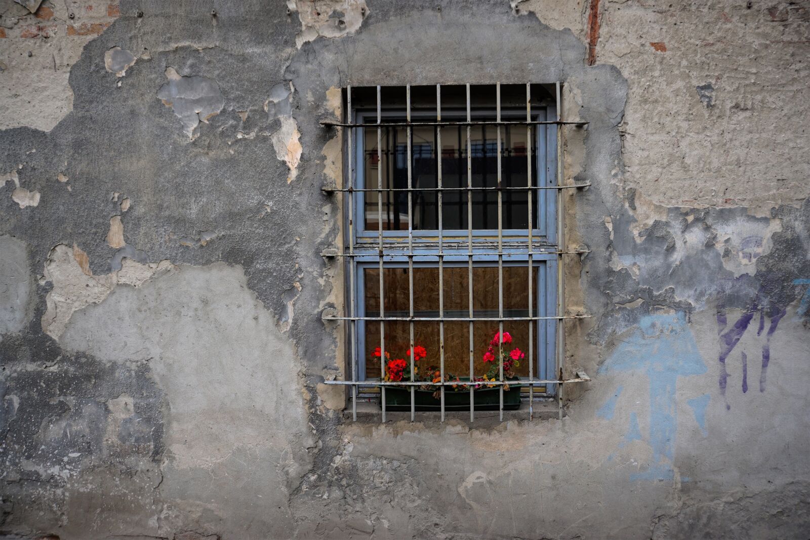 Sony a6000 sample photo. The wall of the photography