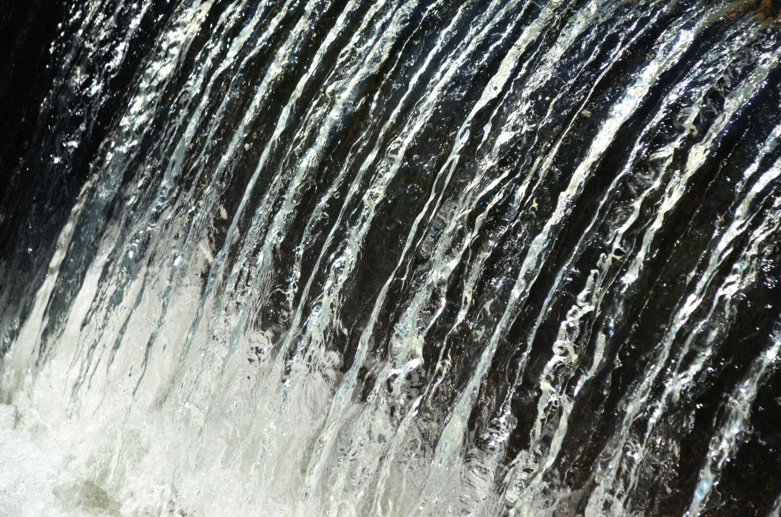Nikon D5100 sample photo. Desktop, pattern, nature photography