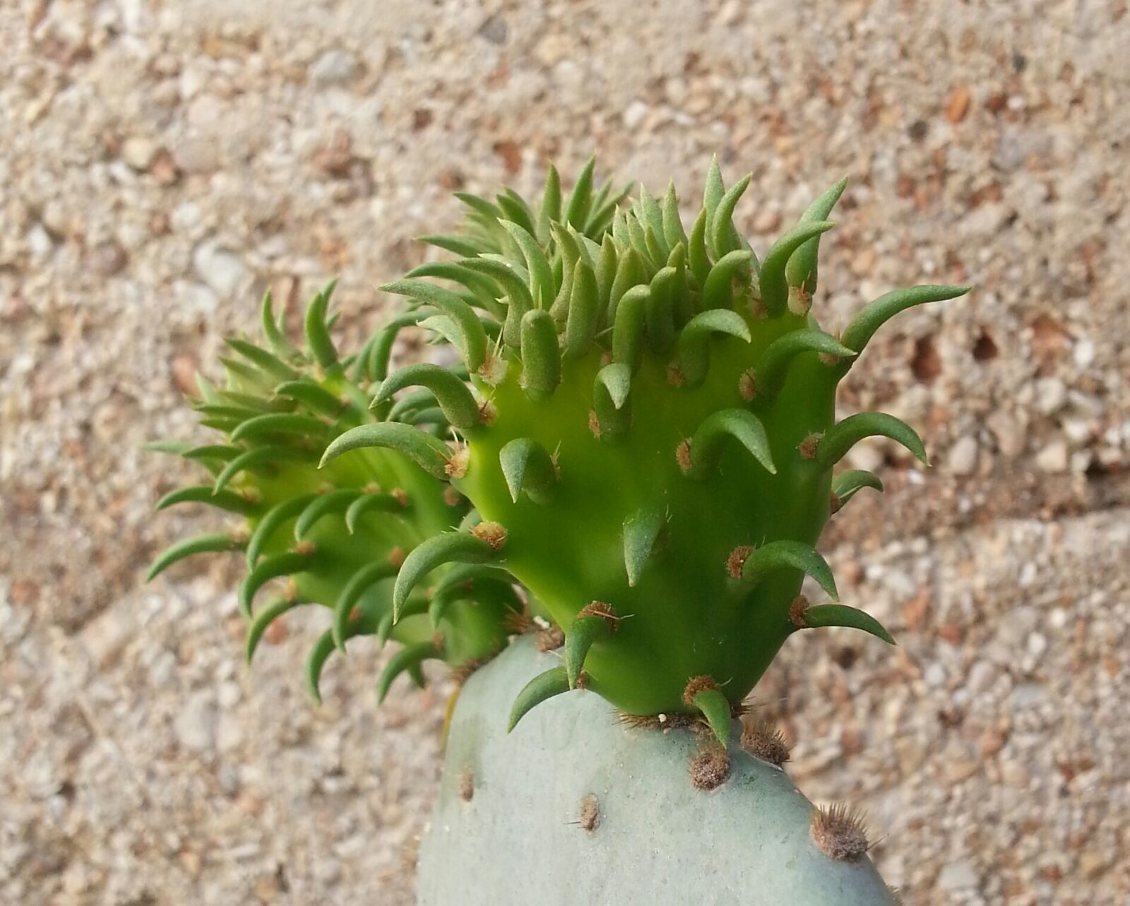 Samsung Galaxy S3 sample photo