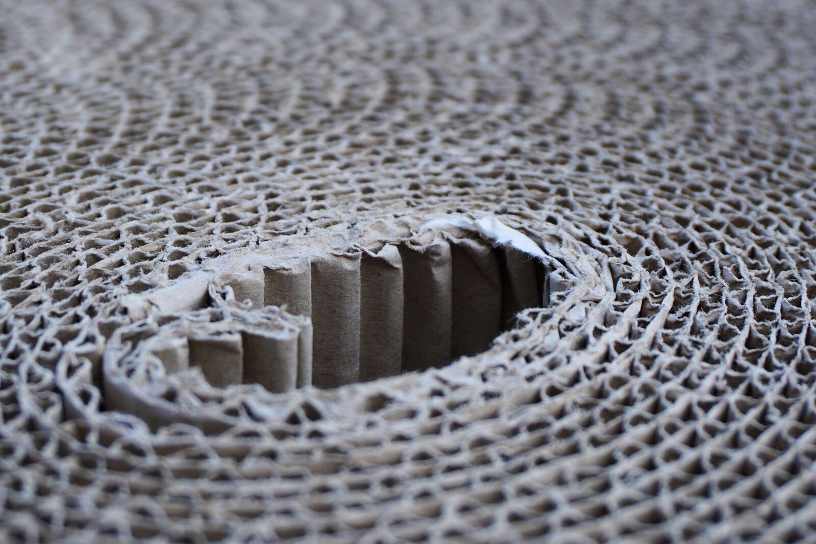 Sony a6000 sample photo. Corrugated board, cardboard, packaging photography