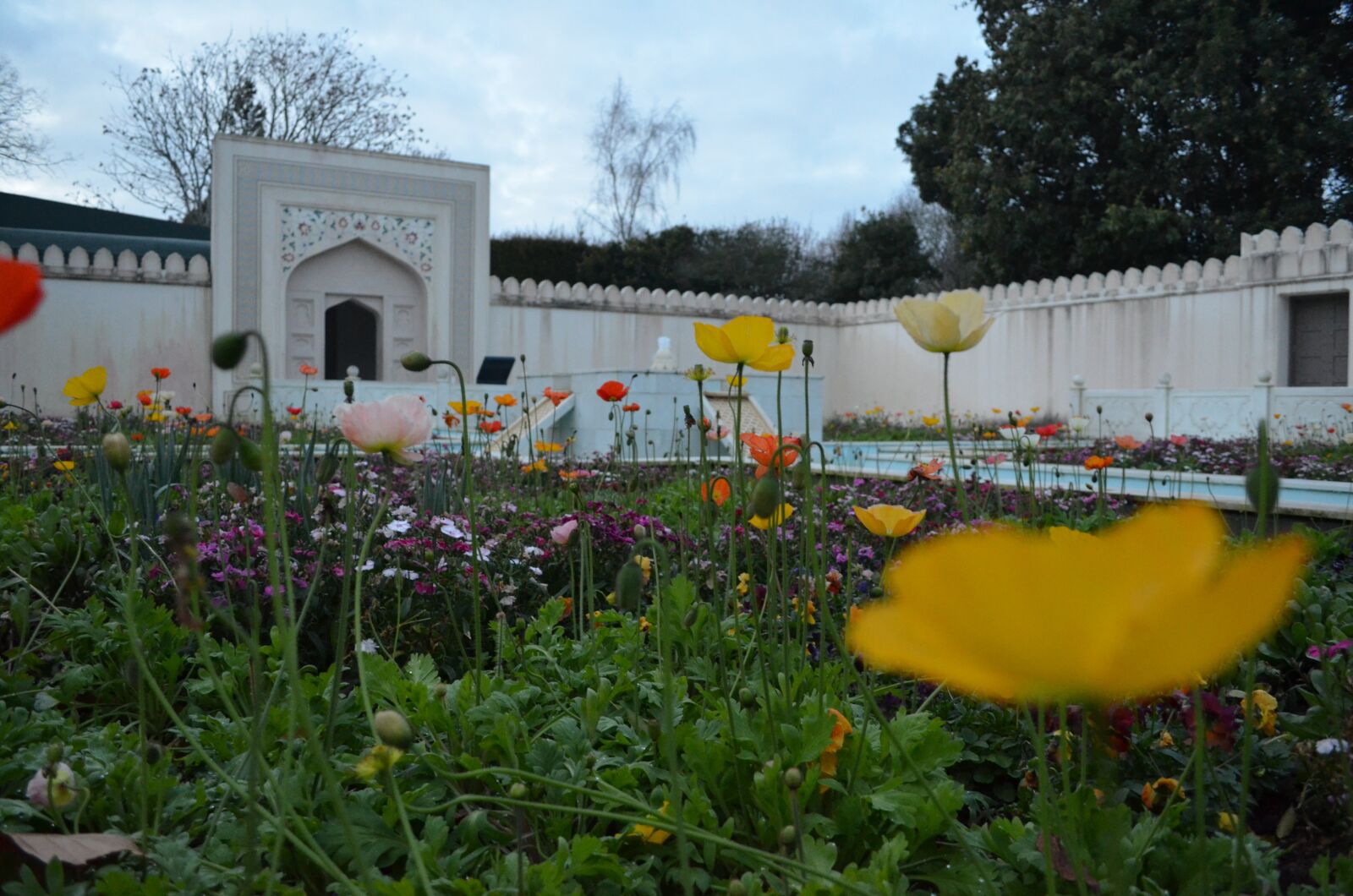 Nikon D5100 sample photo. Hamilton, hamilton garden, flower photography