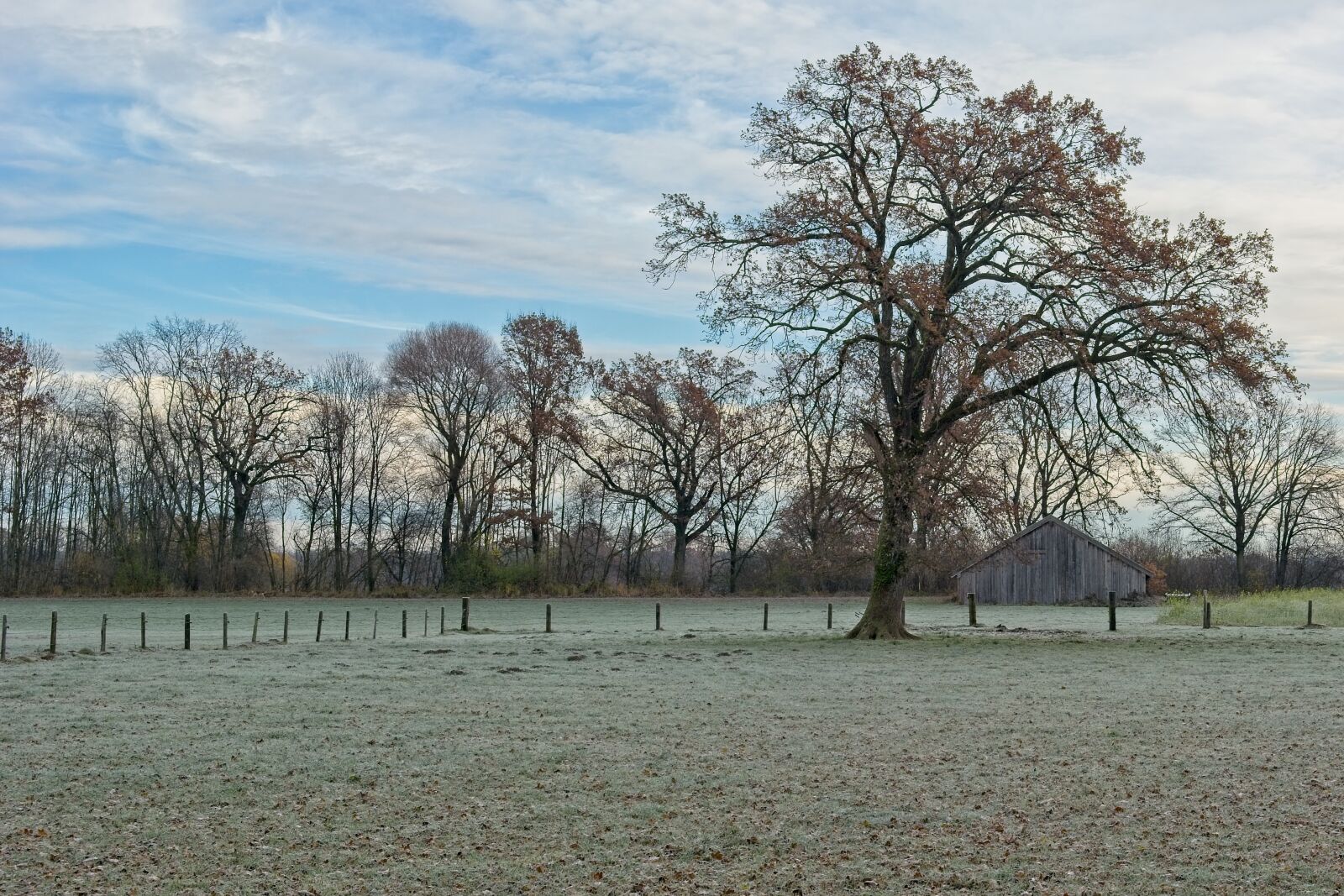 Nikon D7100 sample photo. Landscape, upper bavaria, autumn photography