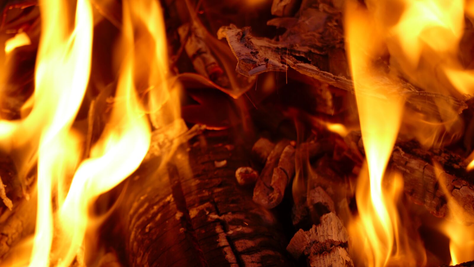 Panasonic Lumix DMC-FZ1000 sample photo. Fire, fire bowl, night photography