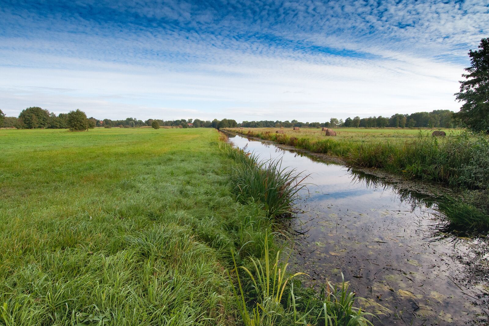 Nikon D90 sample photo. Blockland, bremen, northern germany photography