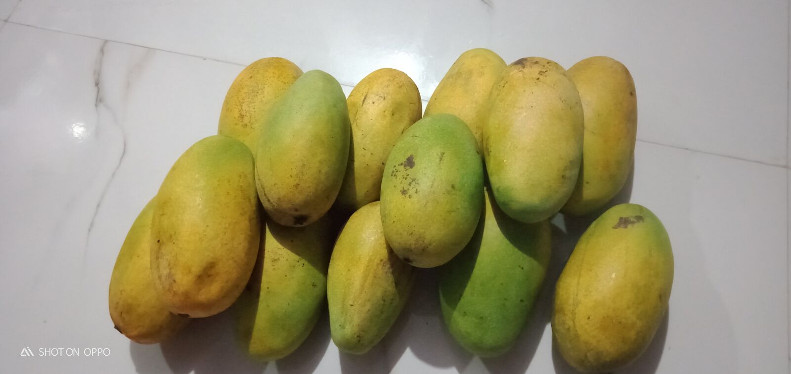 OPPO A5S sample photo. Mangoes, hapus mango, aam photography