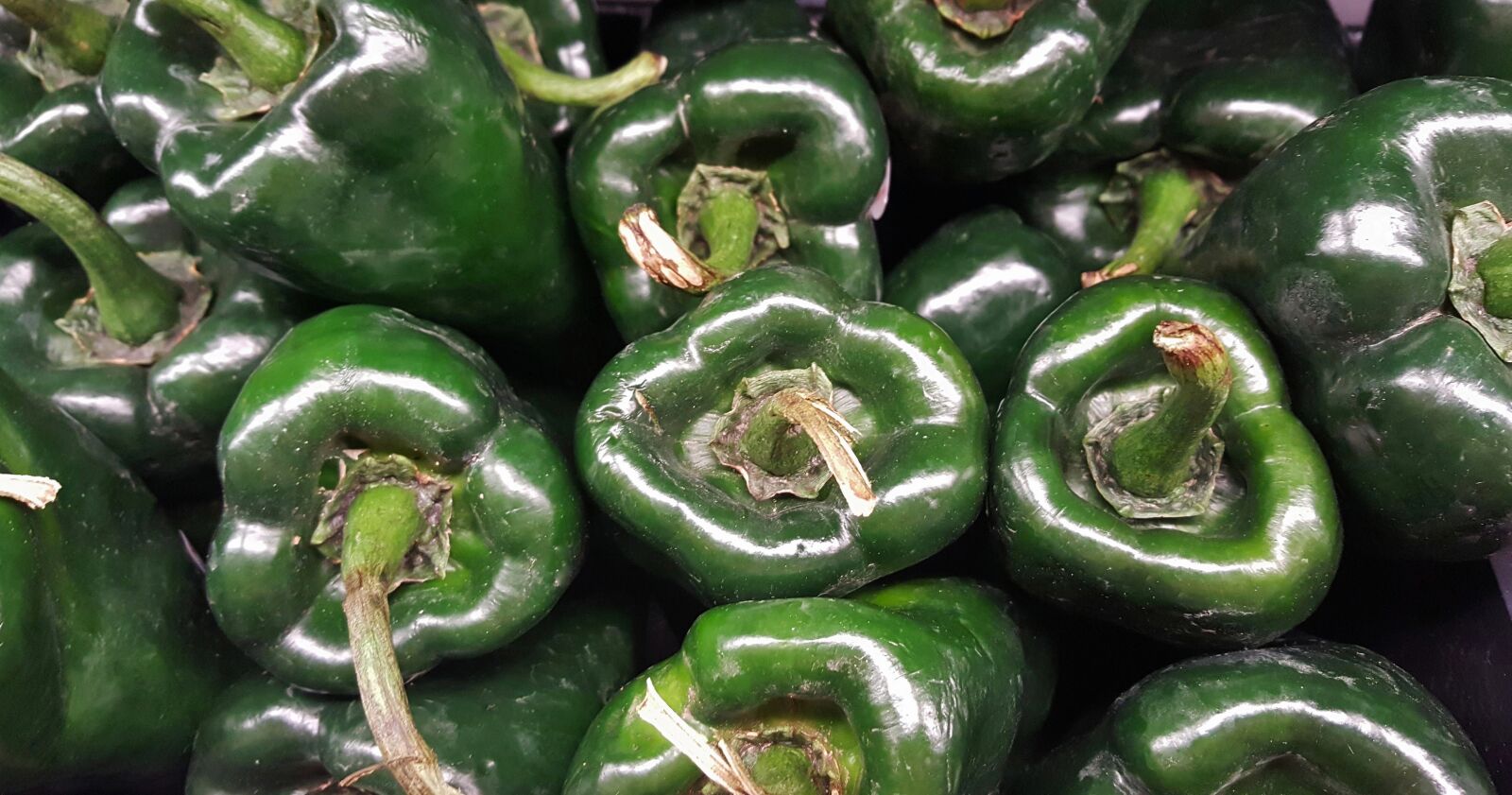 Samsung Galaxy Note5 sample photo. Poblano, poblano peppers, peppers photography