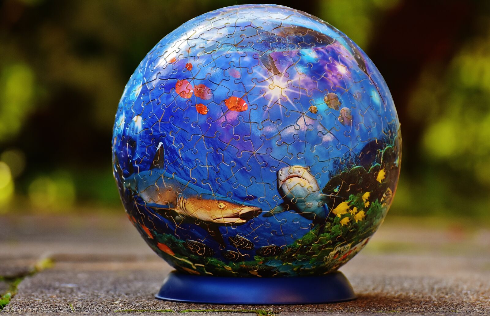 Nikon D7200 sample photo. Puzzle ball, underwater world photography