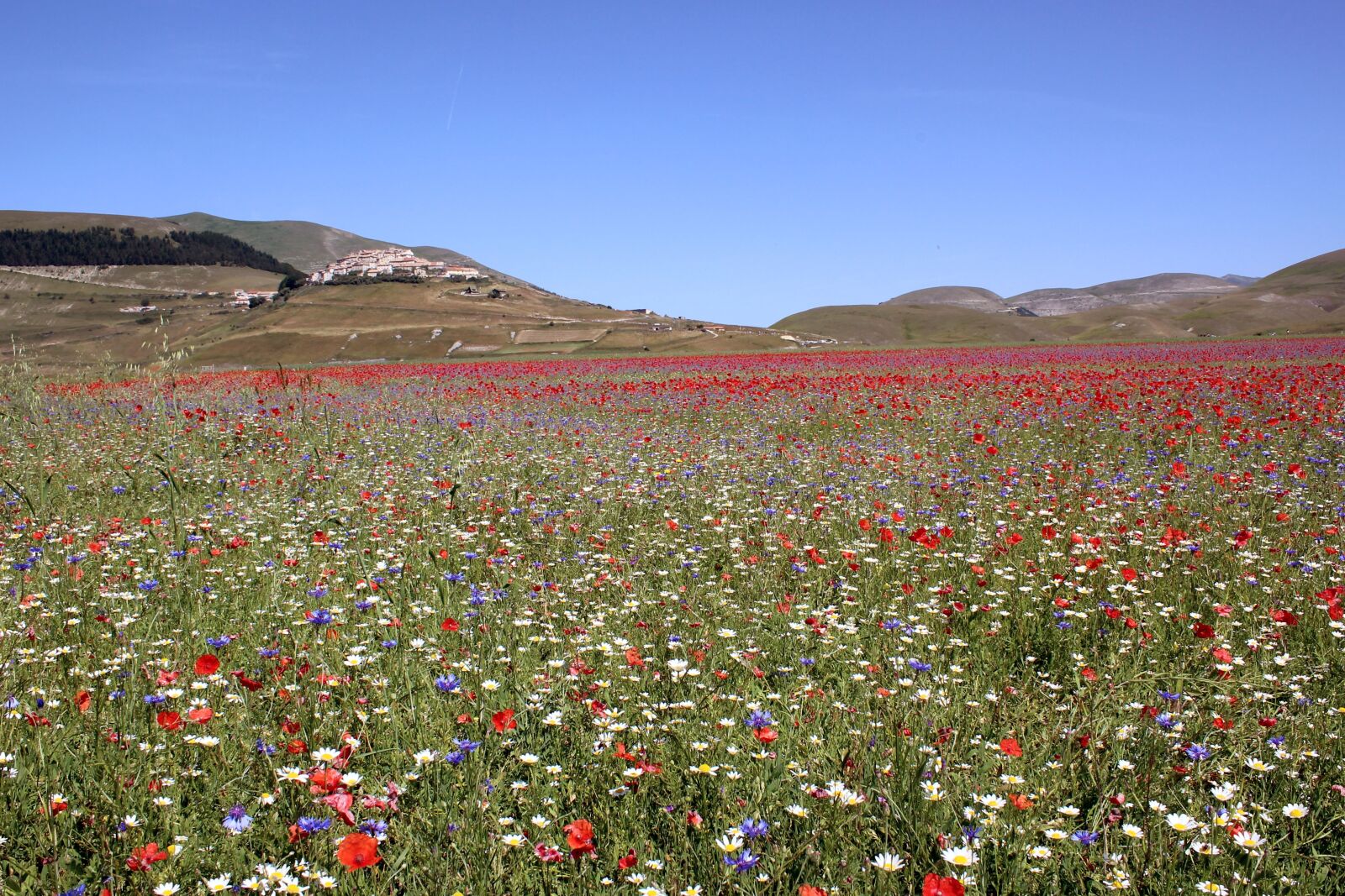 Canon EOS 1200D (EOS Rebel T5 / EOS Kiss X70 / EOS Hi) sample photo. Umbria, castelluccio, of photography