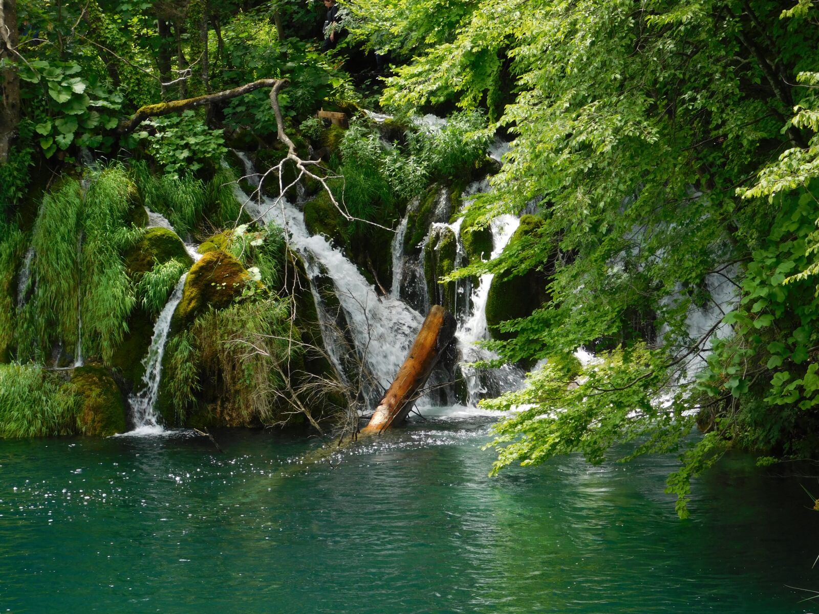 Nikon Coolpix L840 sample photo. Lake, waterfall, nature photography