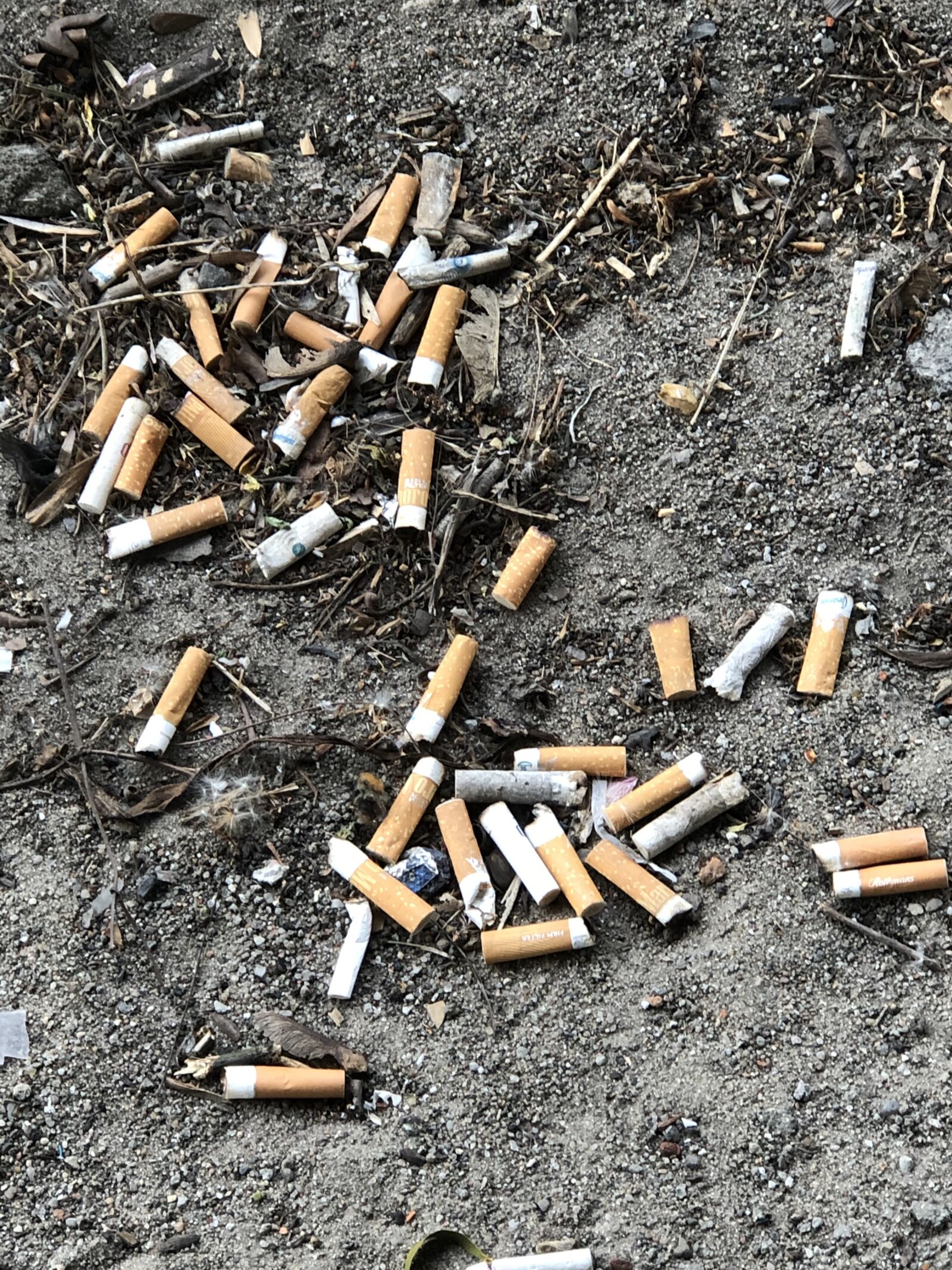 iPhone 8 Plus back dual camera 6.6mm f/2.8 sample photo. Cigarettes, garbage, ecology photography