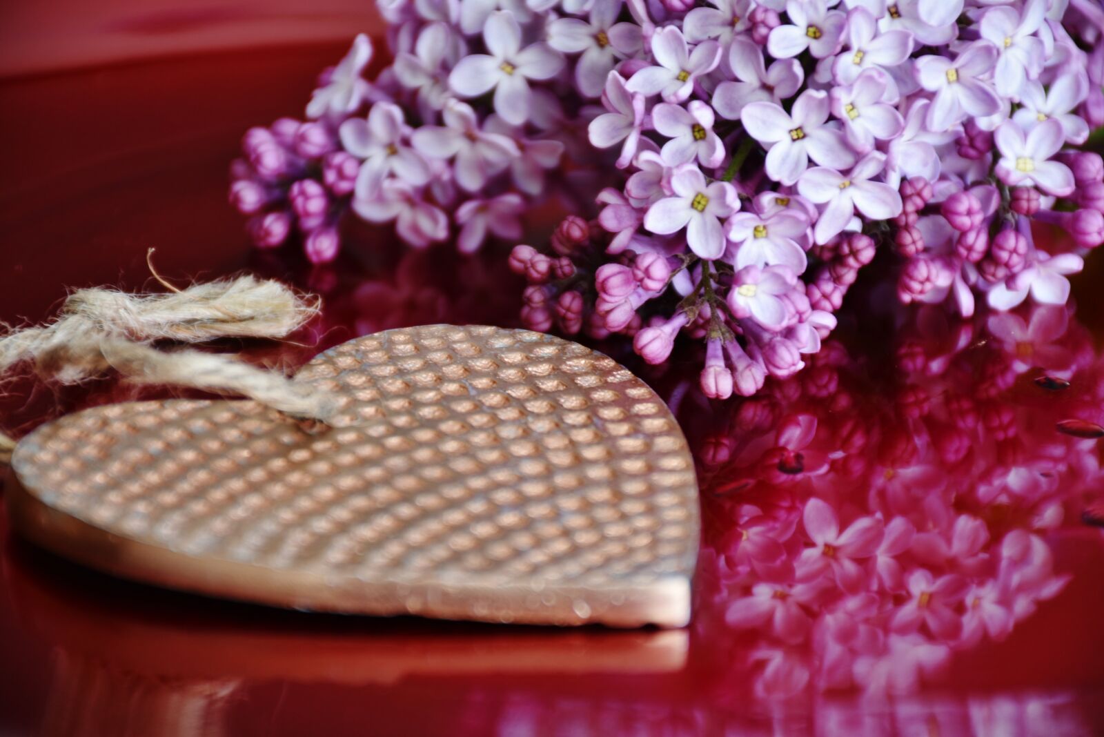 Nikon D7200 sample photo. Heart, lilac, flowers photography