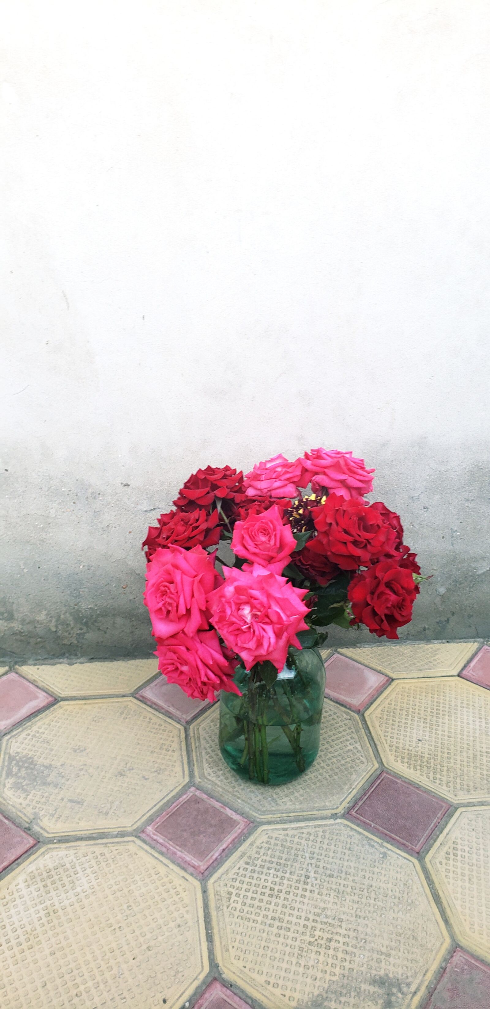 Samsung SM-G965U1 sample photo. Garden rose's, flowers, floral photography