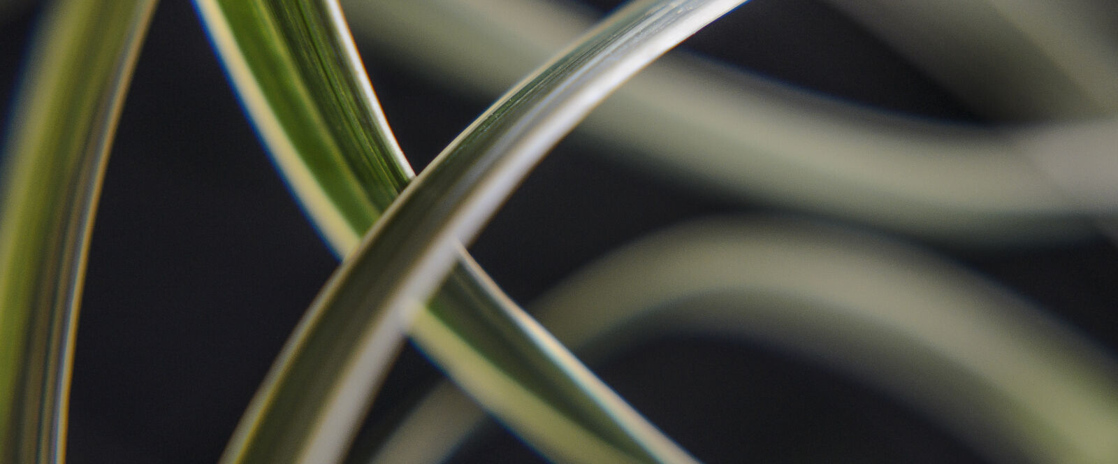 Nikon D7000 sample photo. Abstract, abstrato, background, brazilian photography