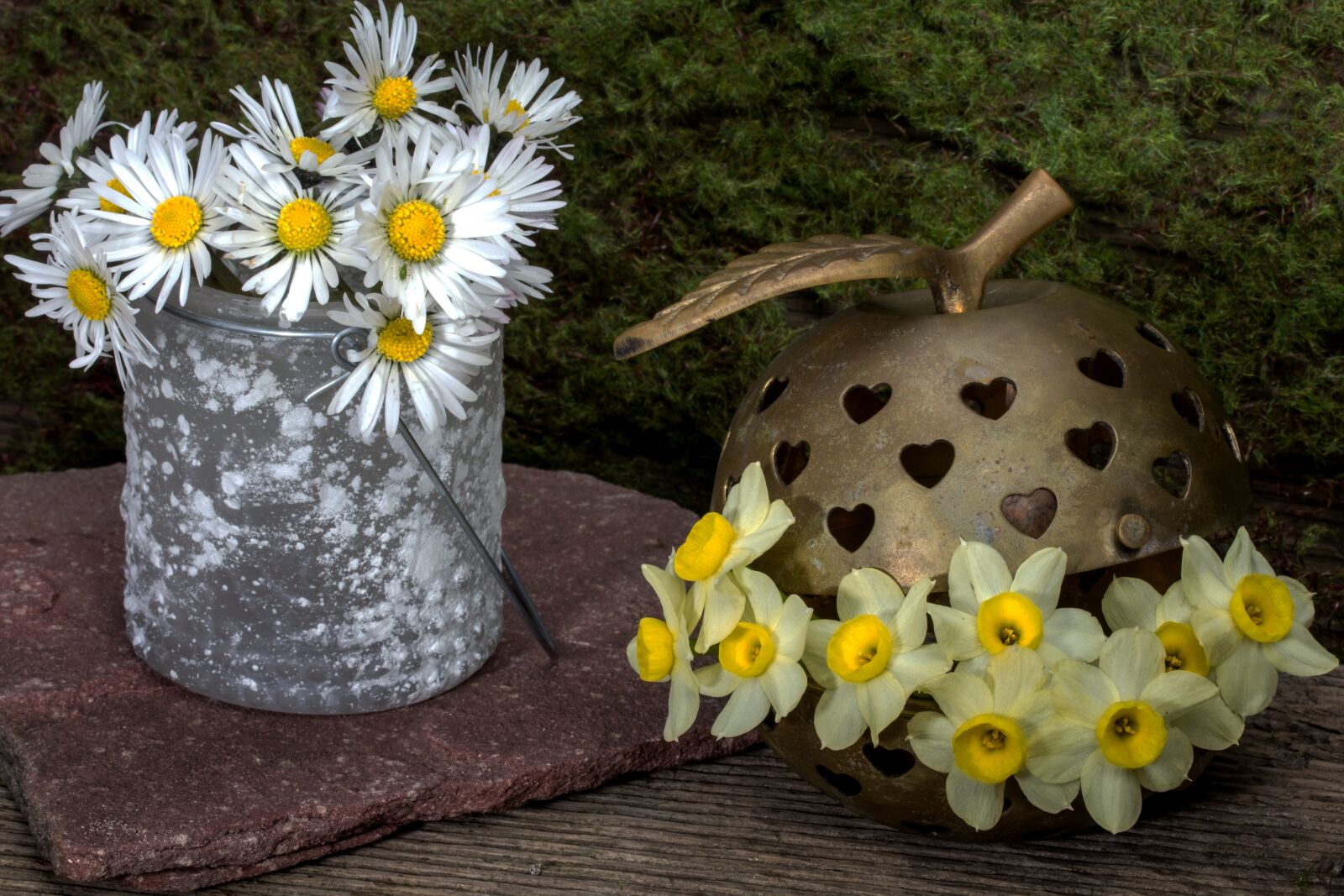 Canon EF-S 60mm F2.8 Macro USM sample photo. Still life, flowers, daisy photography