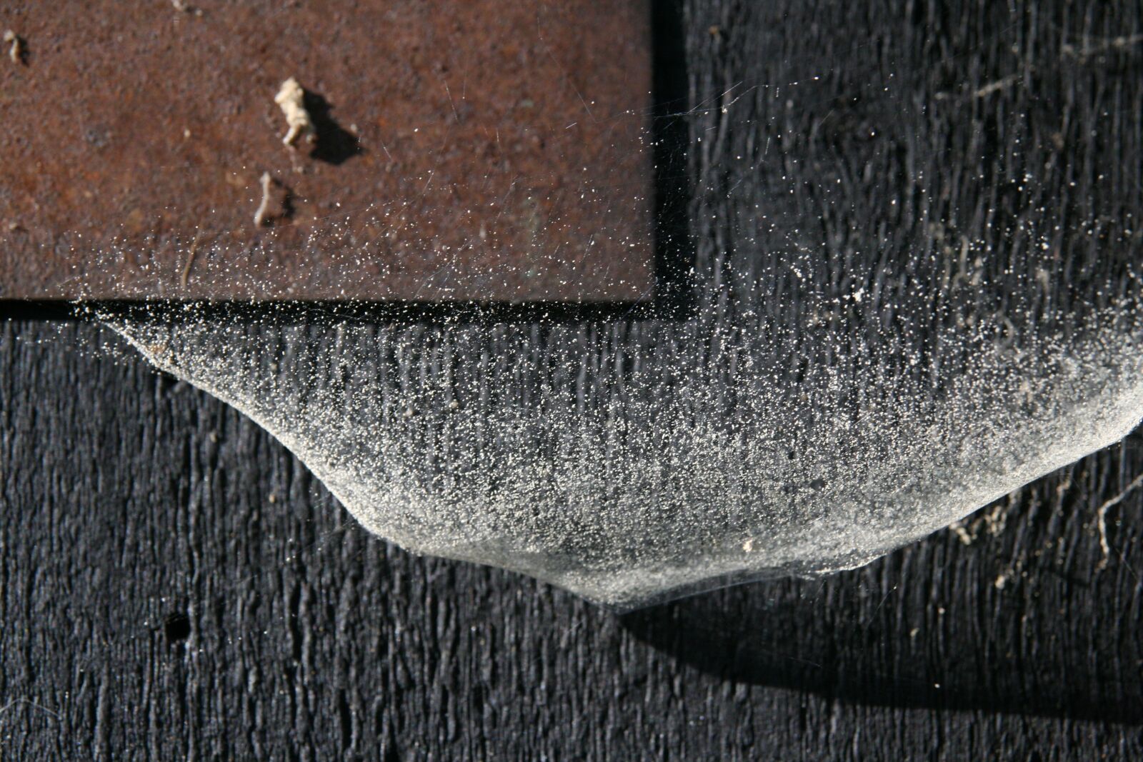 Canon EOS 400D (EOS Digital Rebel XTi / EOS Kiss Digital X) sample photo. Spider webs, dust, structure photography
