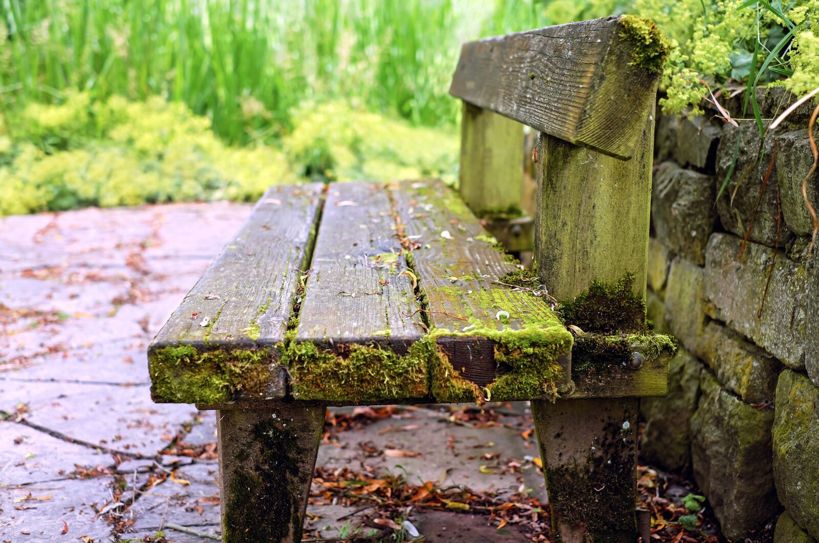 Fujifilm X-T10 + Fujifilm XF 35mm F1.4 R sample photo. Bank, bench, old wood photography