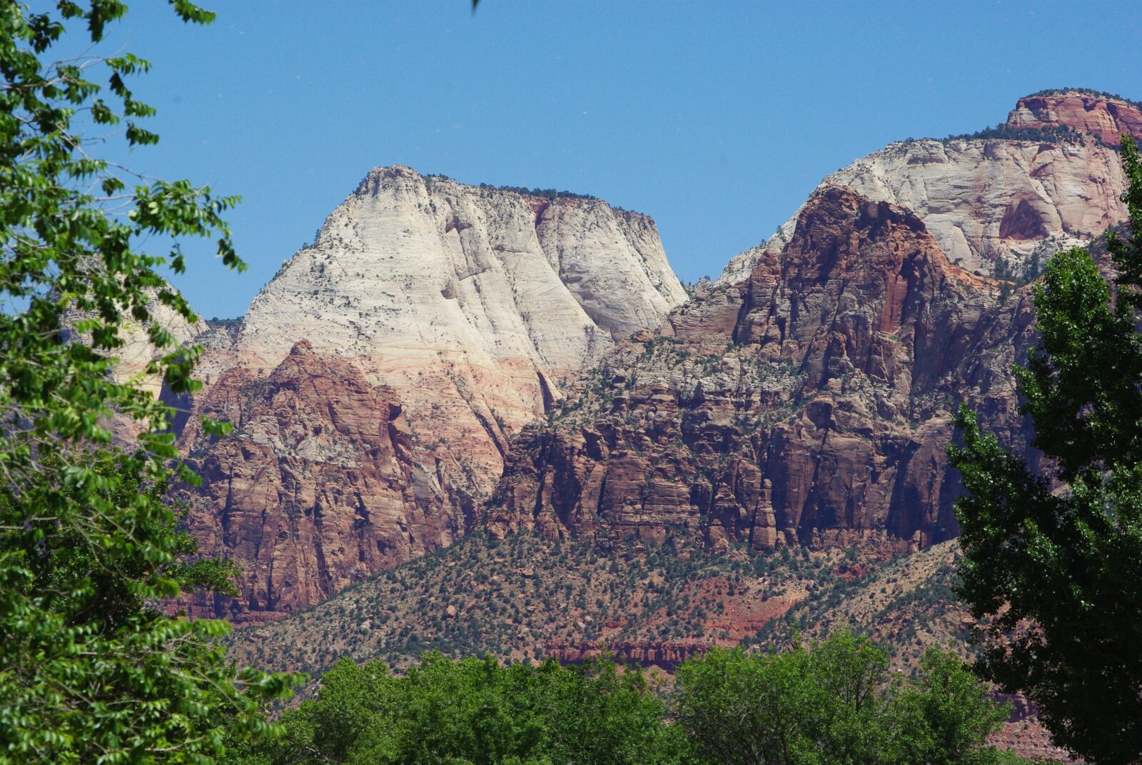 Pentax K200D sample photo. Zion, national park, trees photography